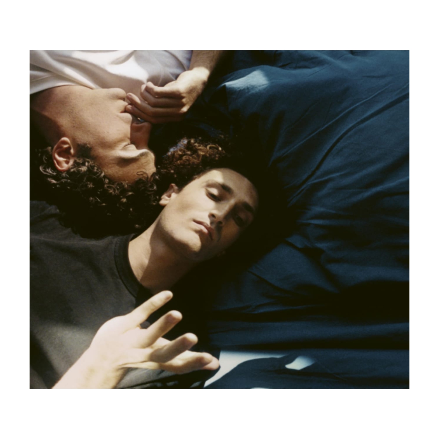 TERRENOIRE - Protege.e [Import] - - [CD]