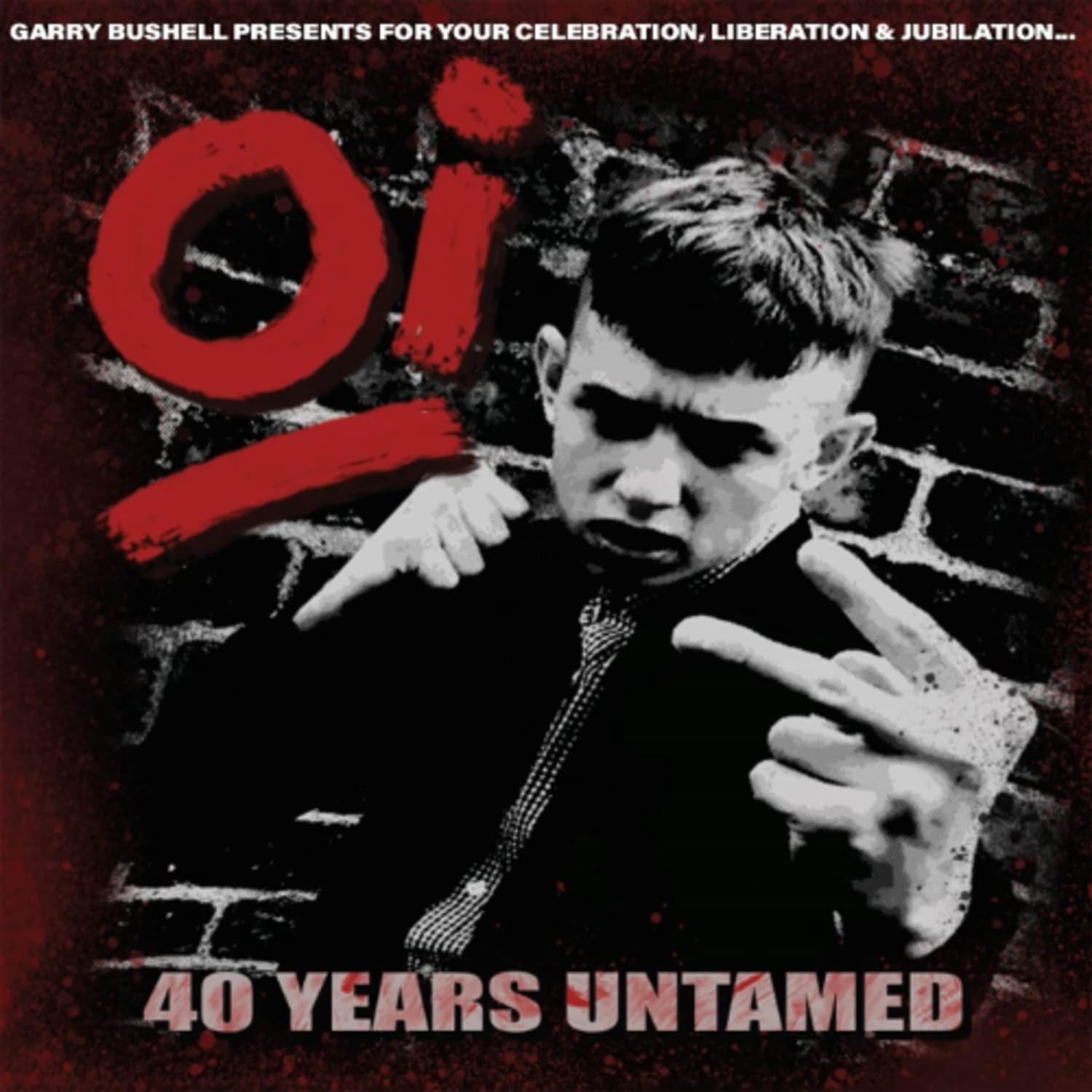 Various Artists - OI 40 Years Untamed - [Vinyl]
