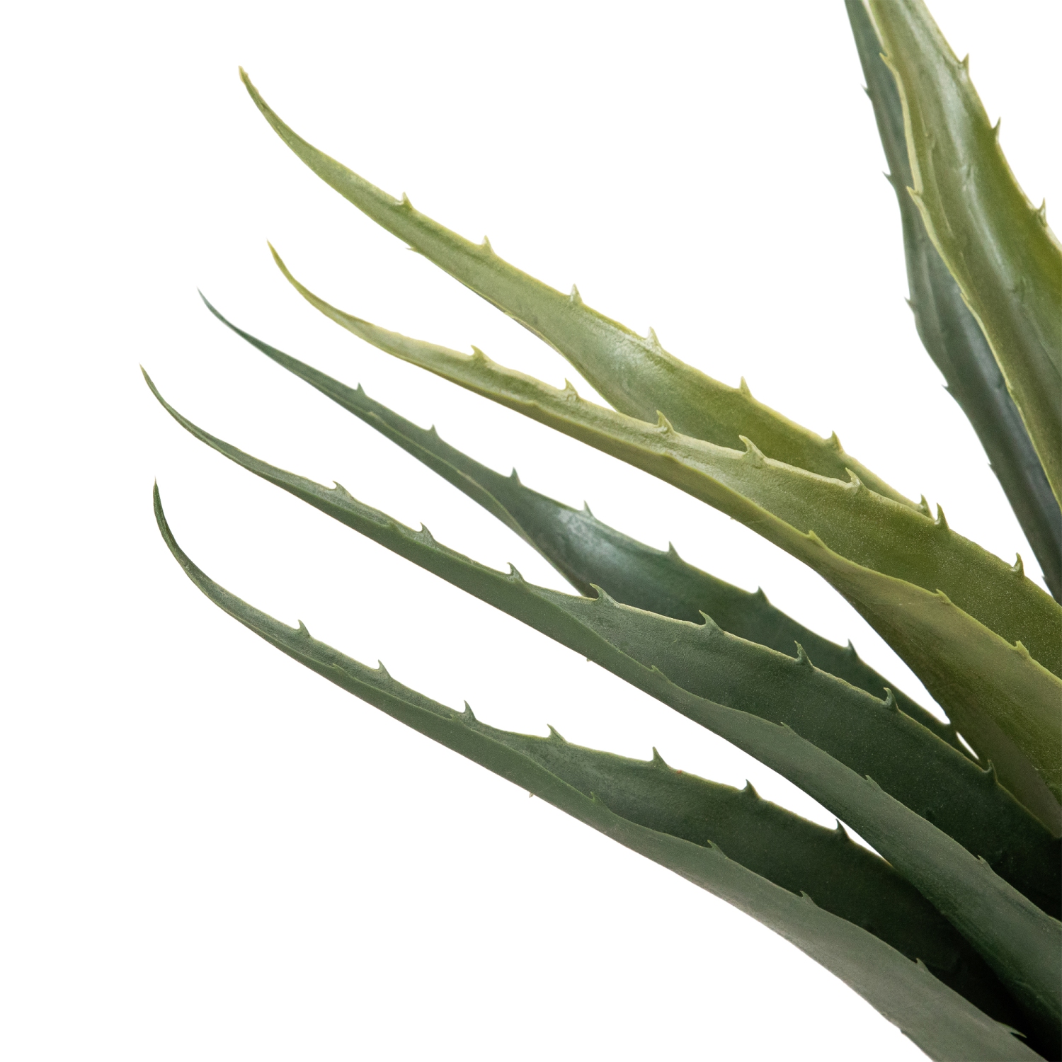 Artificial Potted Aloe Plant - 24"