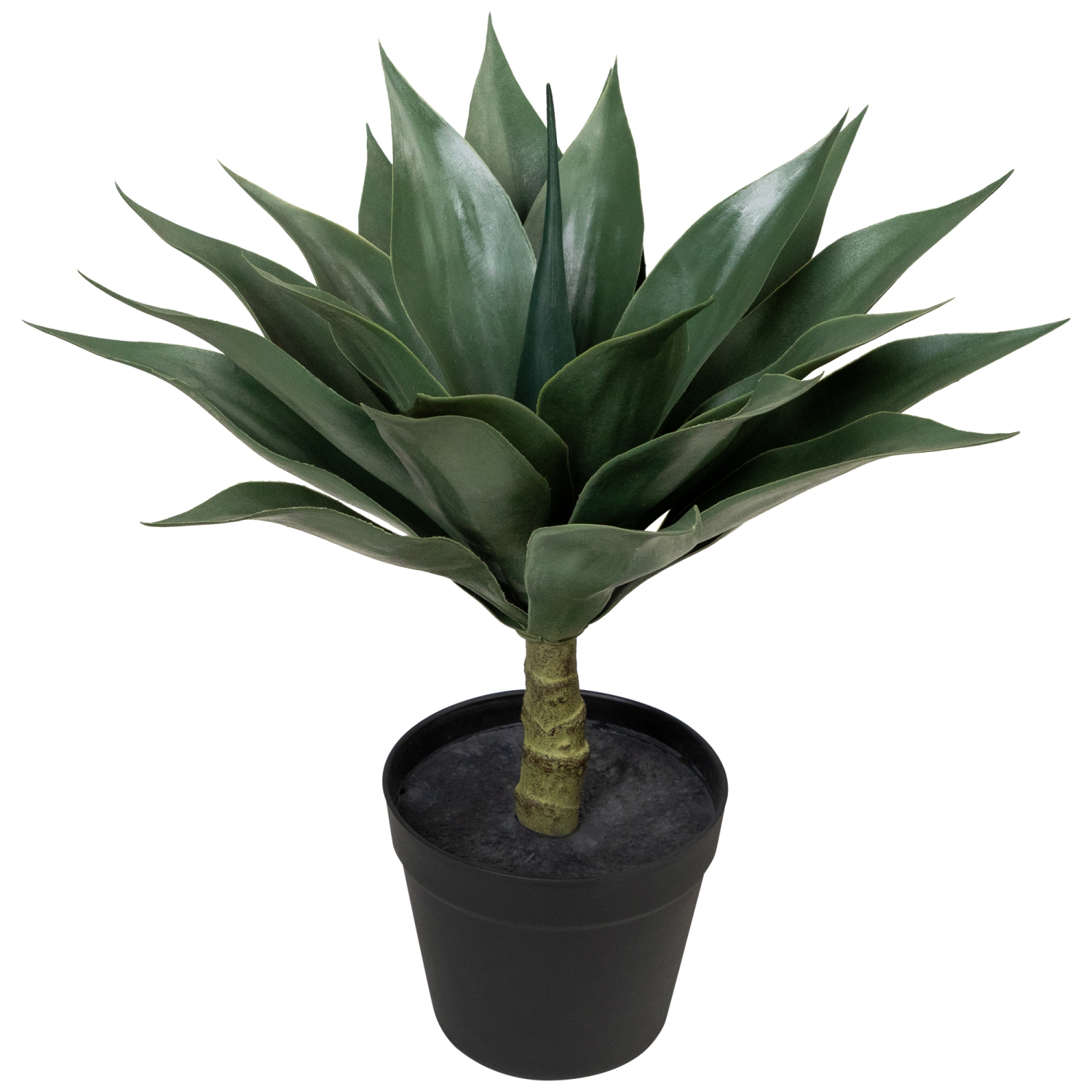 Potted Artificial Agave Plant - 18"