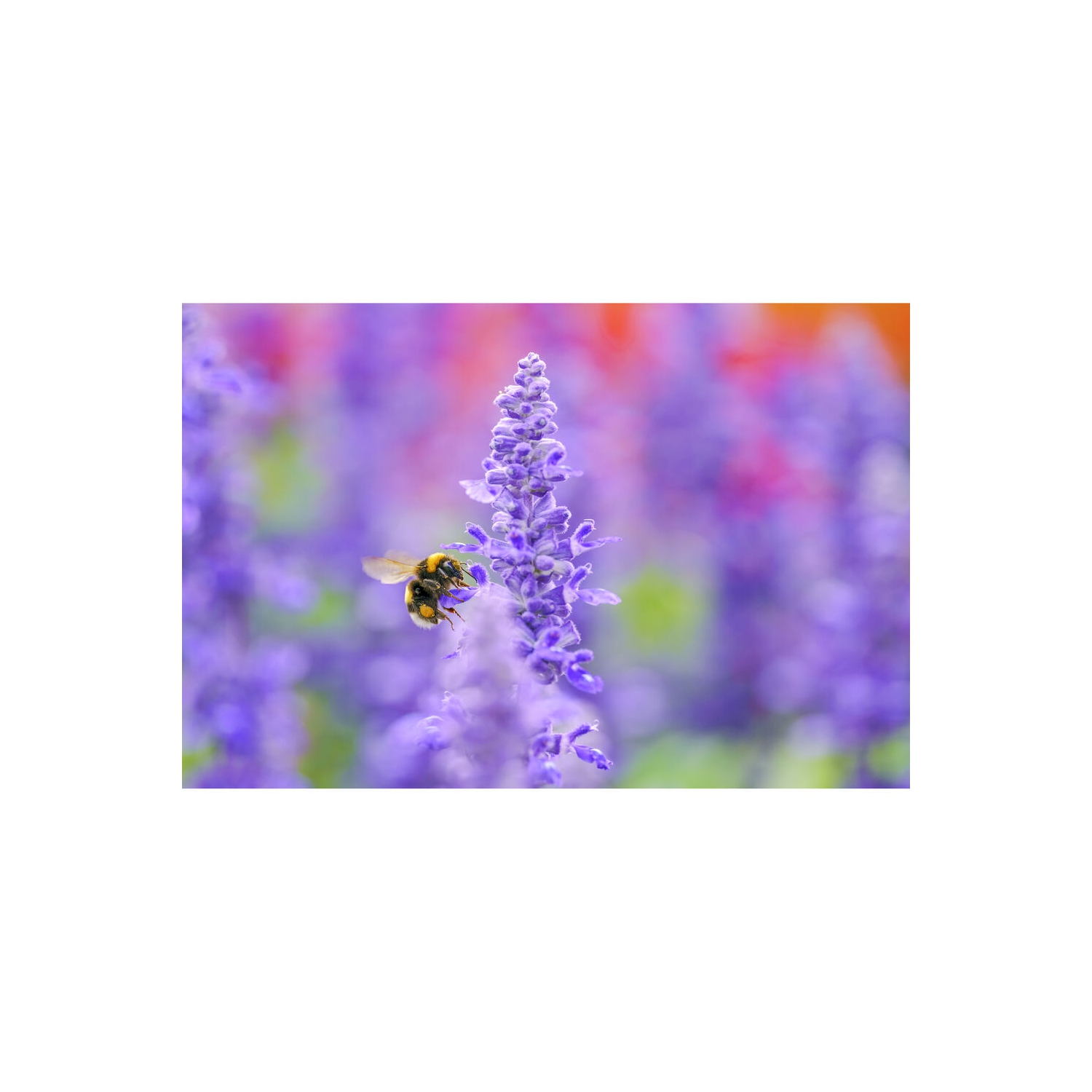 Sigma 105mm f/2.8 DG DN Macro Art Lens for Sony E Bundle