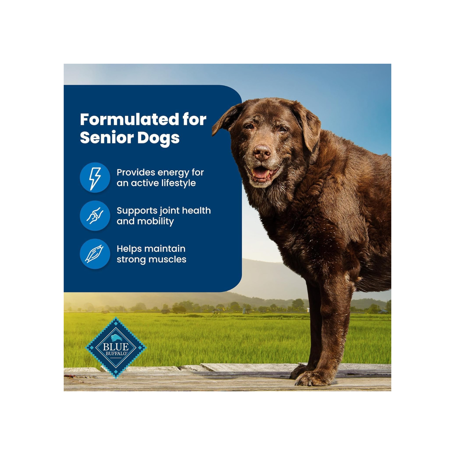 Blue Buffalo Life Protection Formula Senior Dog Food - Natural Dry Dog Food For Senior Dogs - Chicken And Brown Rice - 11.7 Kg Bag