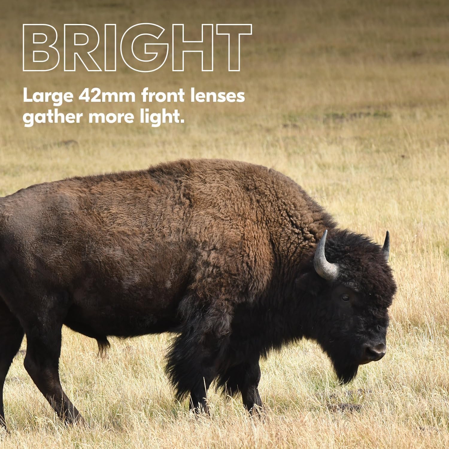 NIKON PROSTAFF P3 10x42 -Open Box