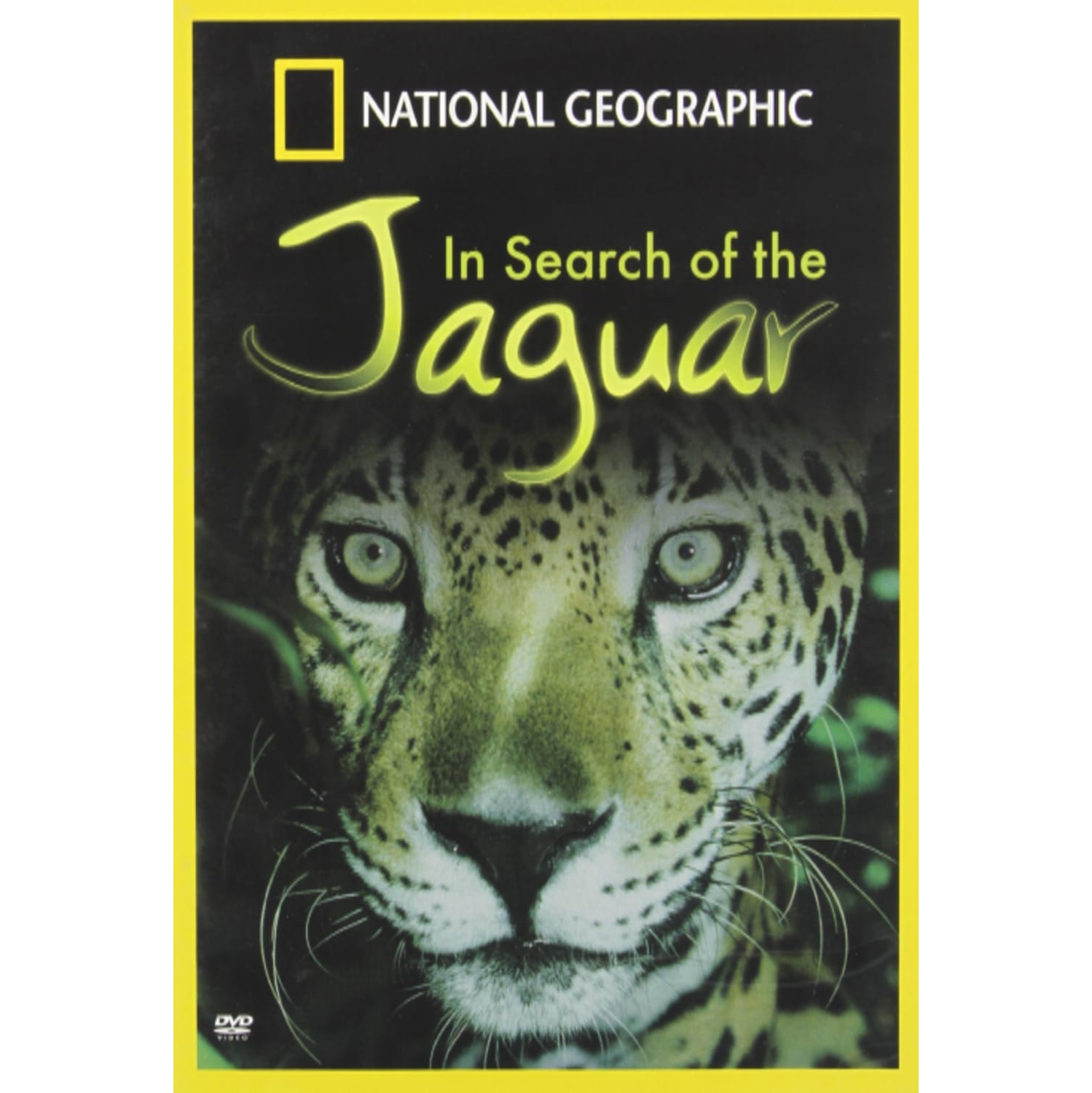 In Search Of The Jaguar - [DVD]