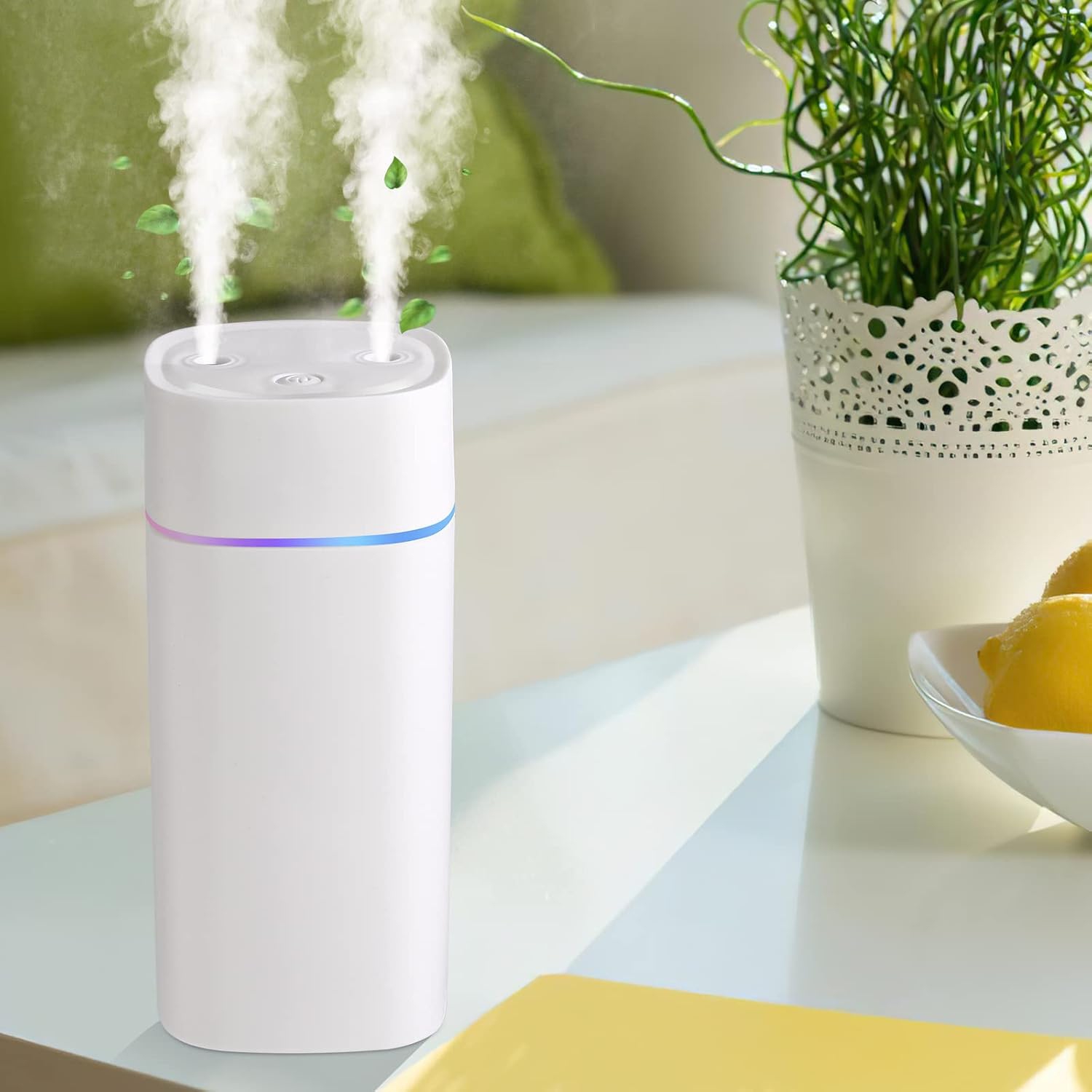 Humidifier for Plants Double Spray,Small Humidifier for Office Bedroom Desk,Portable Humidifier for Car,Auto Shut-Off