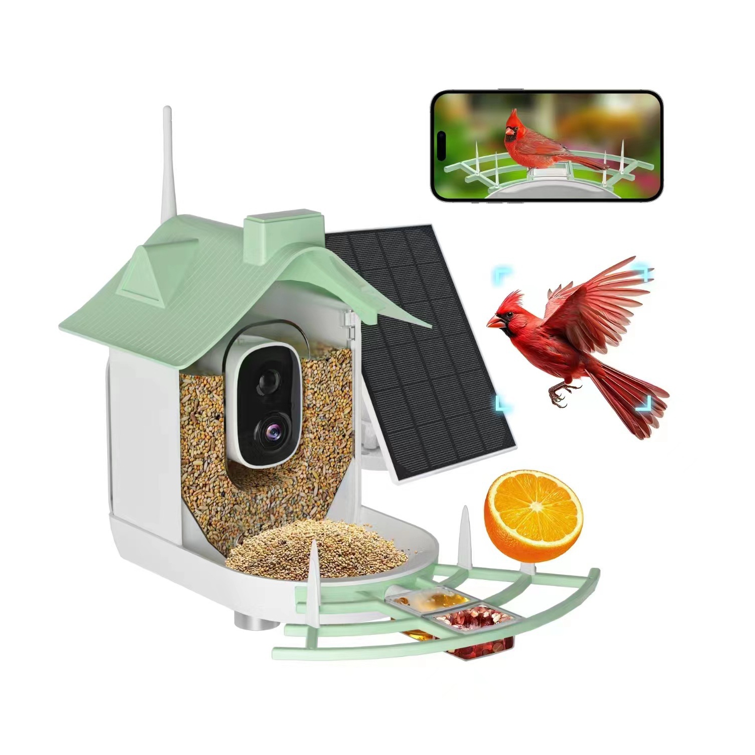 Mangeoire à oiseaux avec caméra, Maison à oiseaux intelligente, Caméra HD AI Identification des espèces d'oiseaux, Vidéo d'oiseaux à capture