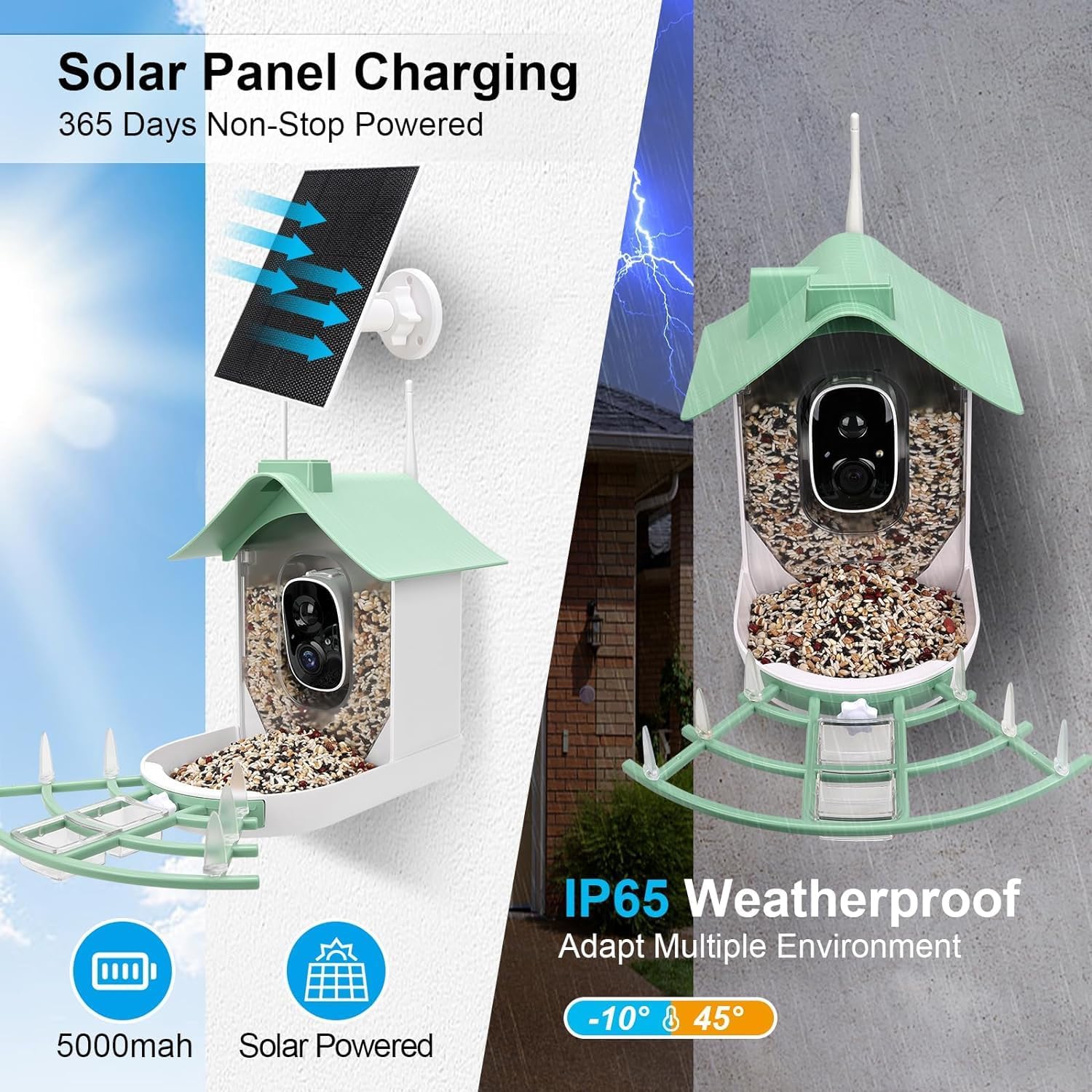 Mangeoire à oiseaux avec caméra, Maison à oiseaux intelligente, Caméra HD AI Identification des espèces d'oiseaux, Vidéo d'oiseaux à capture