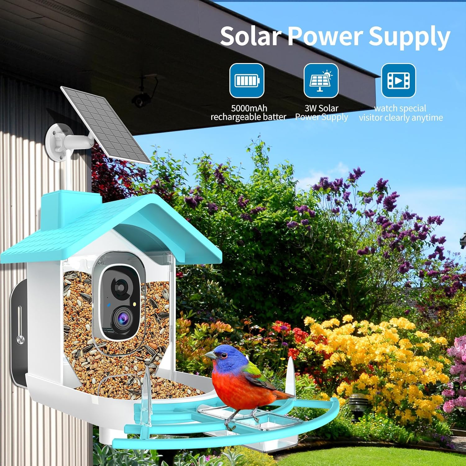 Mangeoire intelligente avec caméra AI Identification des espèces d'oiseaux, Capture automatique des vidéos d'oiseaux, Vue en direct, Cabane à oiseaux