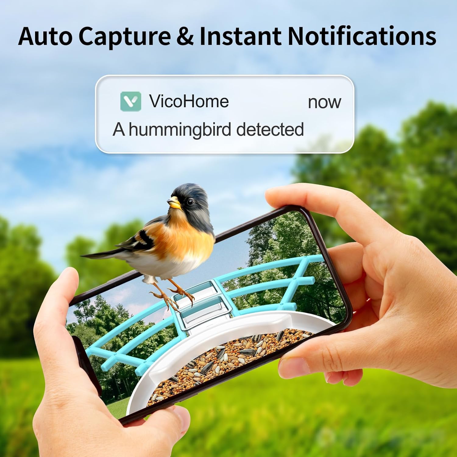 Mangeoire intelligente avec caméra AI Identification des espèces d'oiseaux, Capture automatique des vidéos d'oiseaux, Vue en direct, Cabane à oiseaux