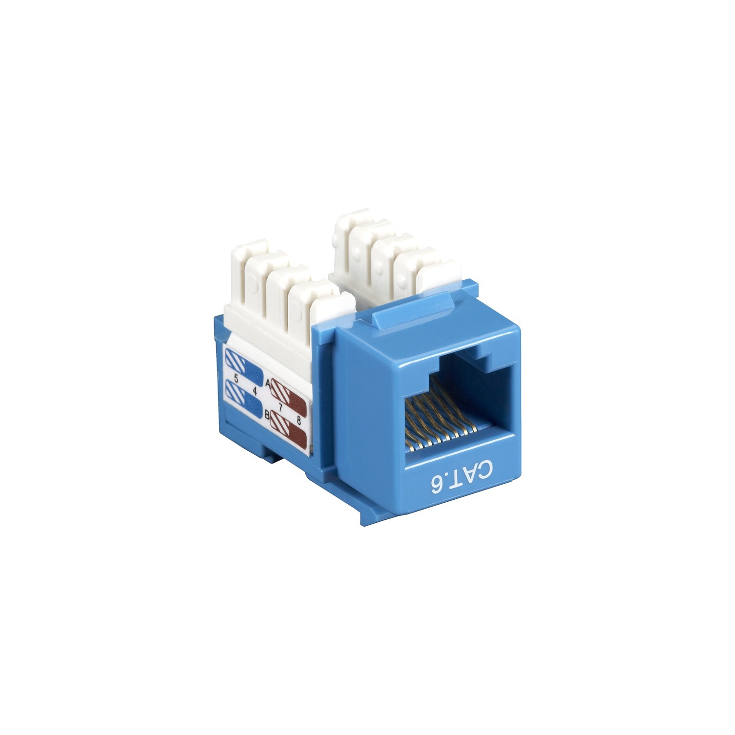 Black Box CAT6 Value Line Keystone Jack, Blue