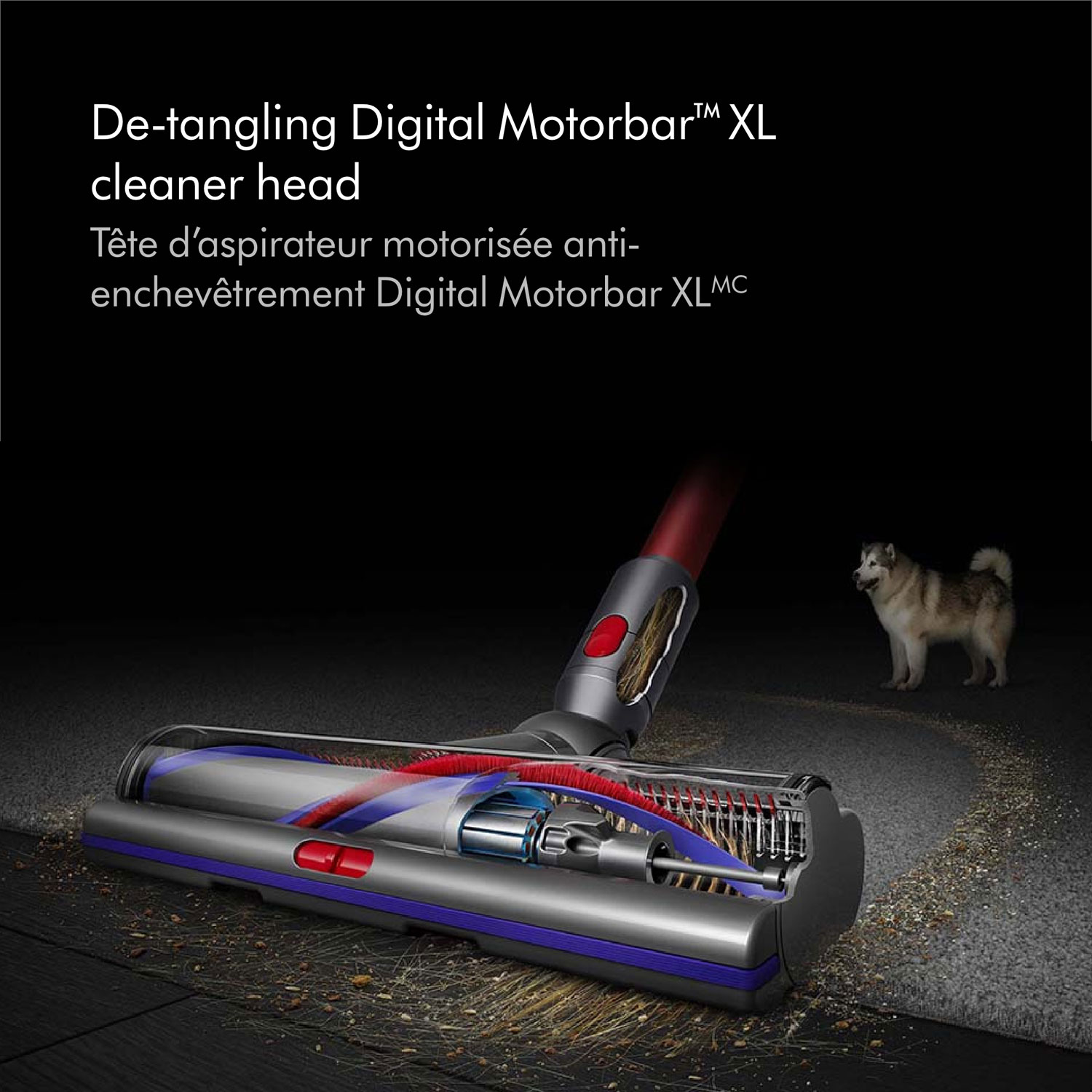 Dyson Outsize Total Clean Cordless Stick Vacuum with Extra Battery - Nickel/Red