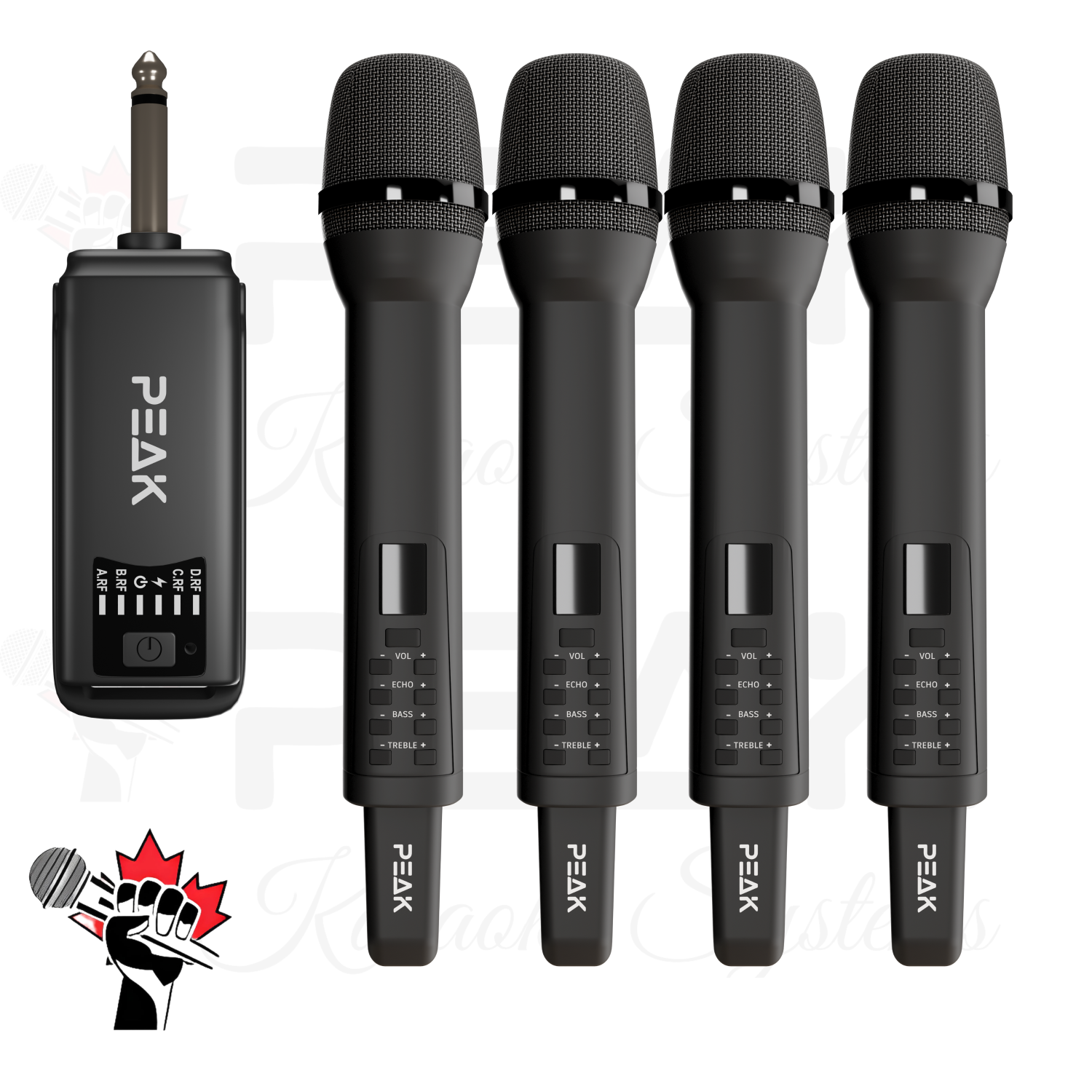 PEAK Karaoke GOLD PRO+ STAGE I Karaoke System - 600W