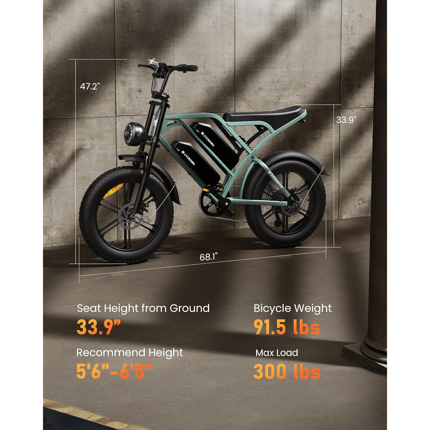 CYCROWN CycHunter Electric Bike for Adults - Black