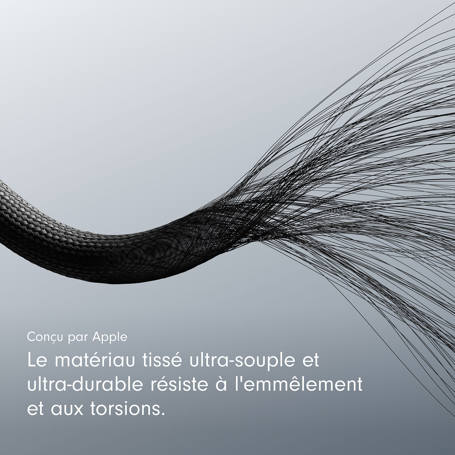 Câble tissé USB-C à USB-C de 0,2 m de Beats By Dr. Dre (MEQ94LL/A) - Noir éclair