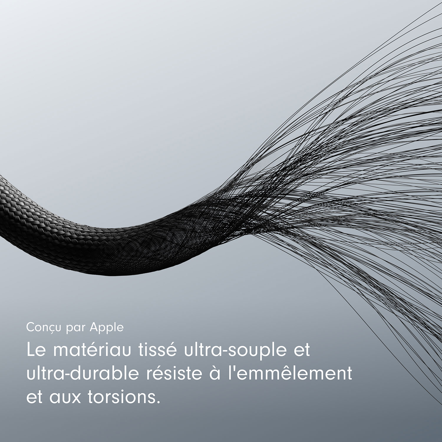 Câble tissé USB-A à USB-C de 0,2 m de Beats By Dr. Dre (MEQL4LL/A) - Noir éclair