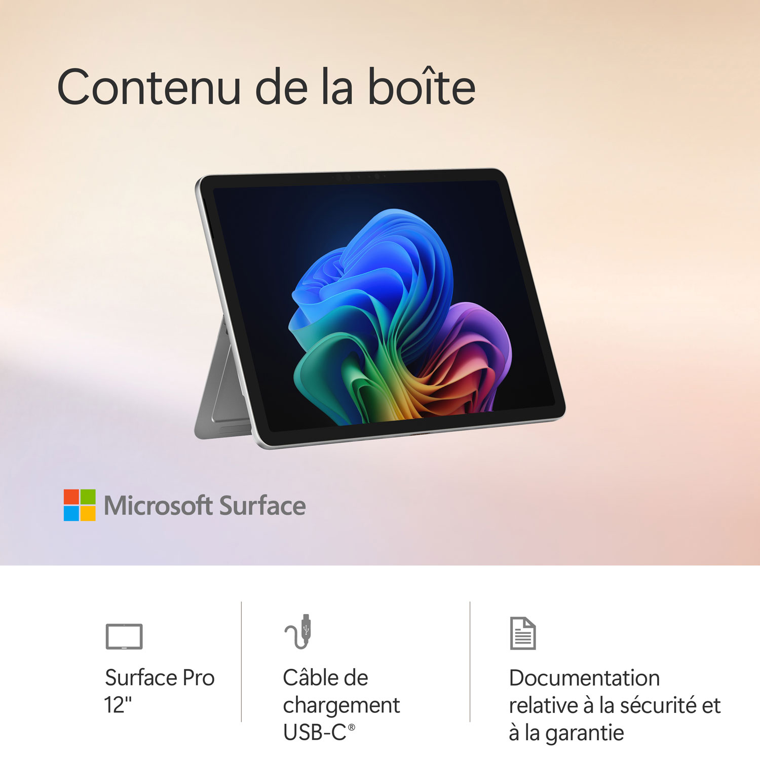 Portable Surface Pro Copilot+ PC 12 po 512 Go de Microsoft avec Snapdragon X Plus/mémoire vive de 16 Go (2025) - Platine - Appareil seulement