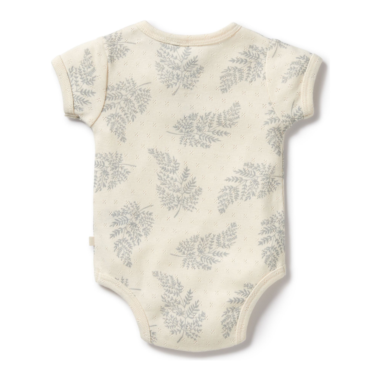Wilson+Frenchy Organic Cotton Pointelle Bodysuit - Forever Ferns
