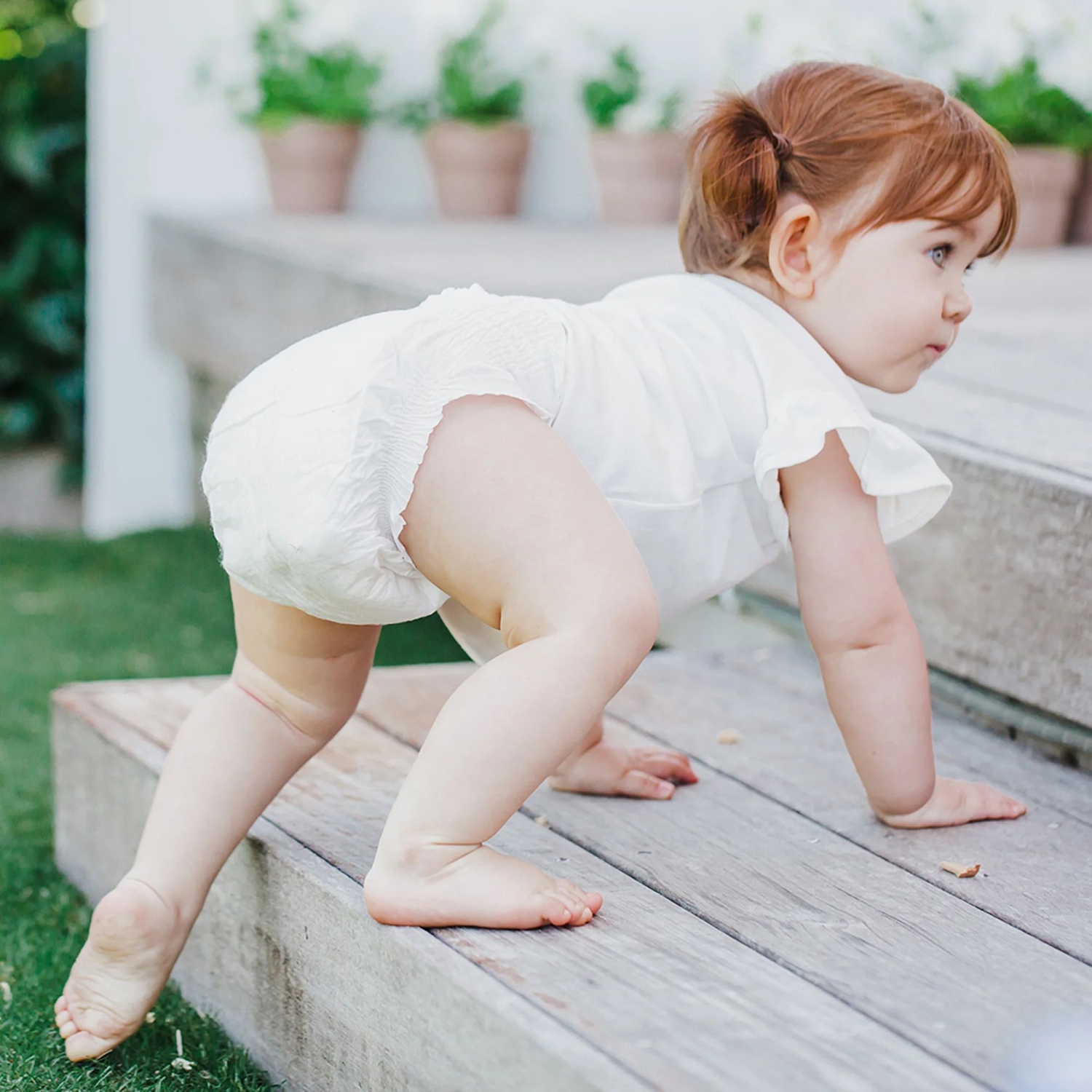 Terra Natural Plant-Based Eco-Friendly Diapers - 20 ct