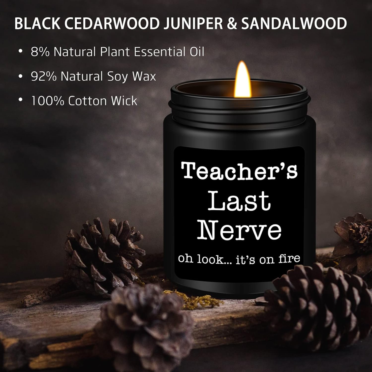 Homsolver Teacher Appreciation Gifts for Women Men, Christmas Birthday Valentines Retirement Thanksgiving Teachers' Day Graduation Season, Teacher’s