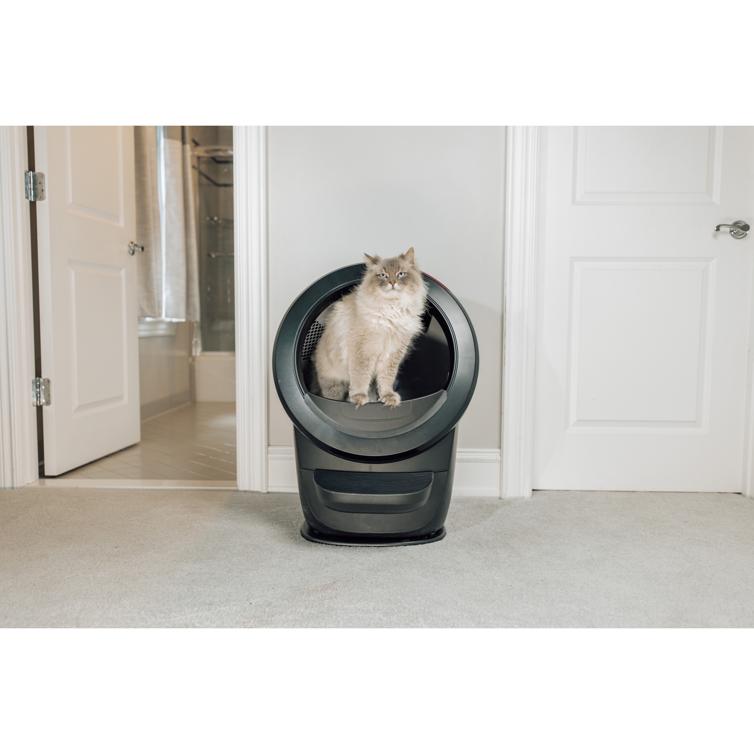 Litter-Robot 4 by Whisker, Black - Automatic, Self-Cleaning Litter Box, Includes 1 Year of WhiskerCare