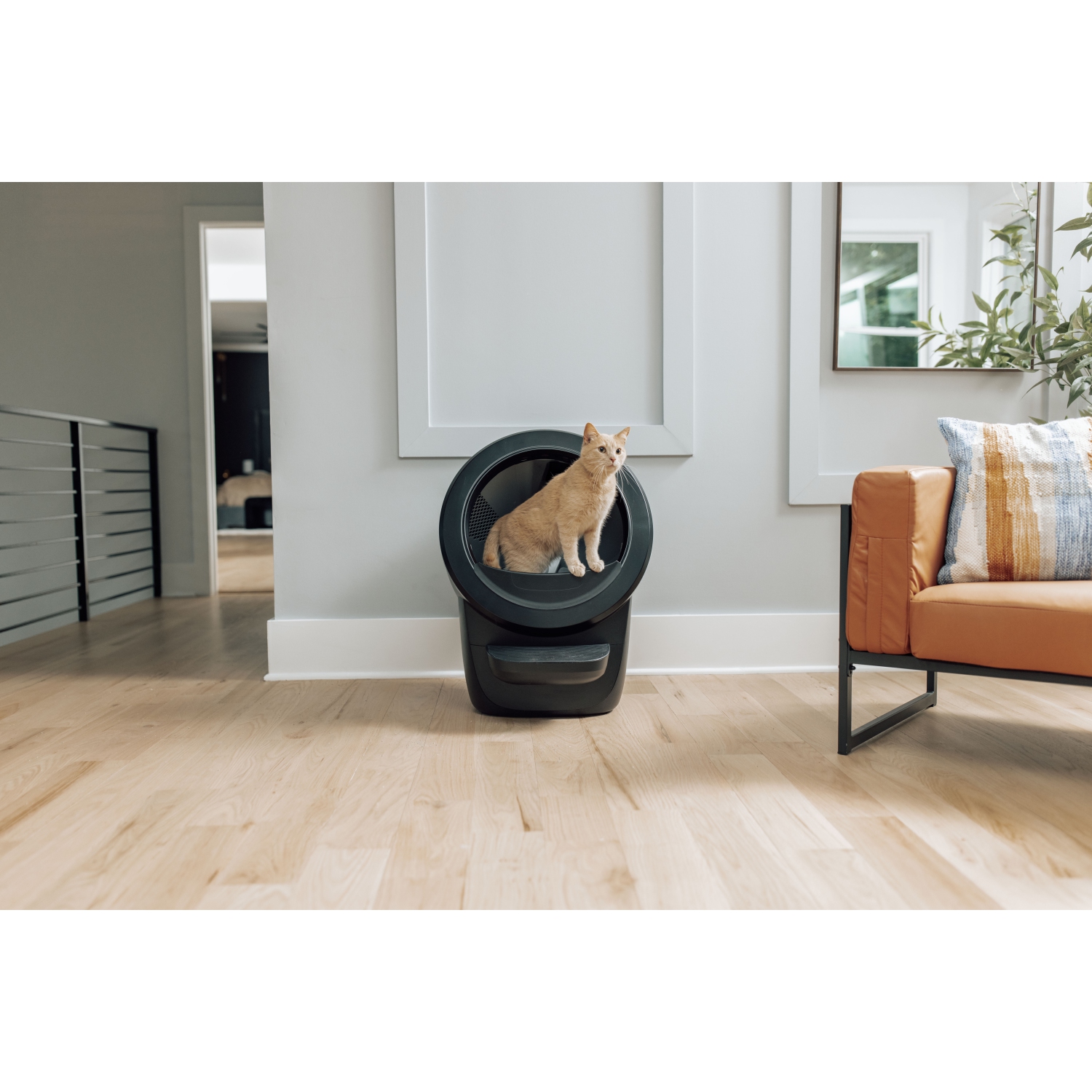 Litter-Robot 4 by Whisker, Black - Automatic, Self-Cleaning Litter Box, Includes 1 Year of WhiskerCare