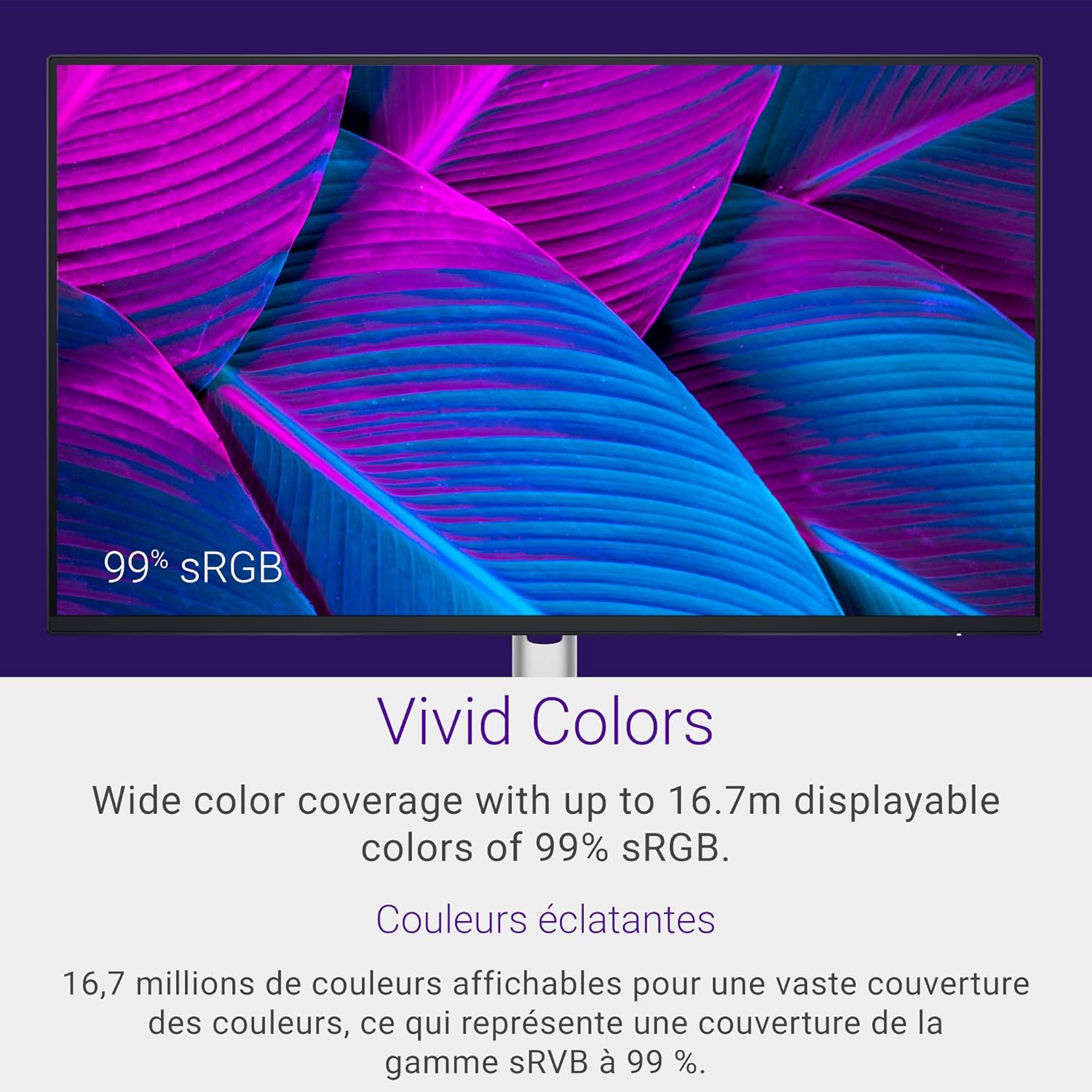 Dell 24 Monitor - P2425H