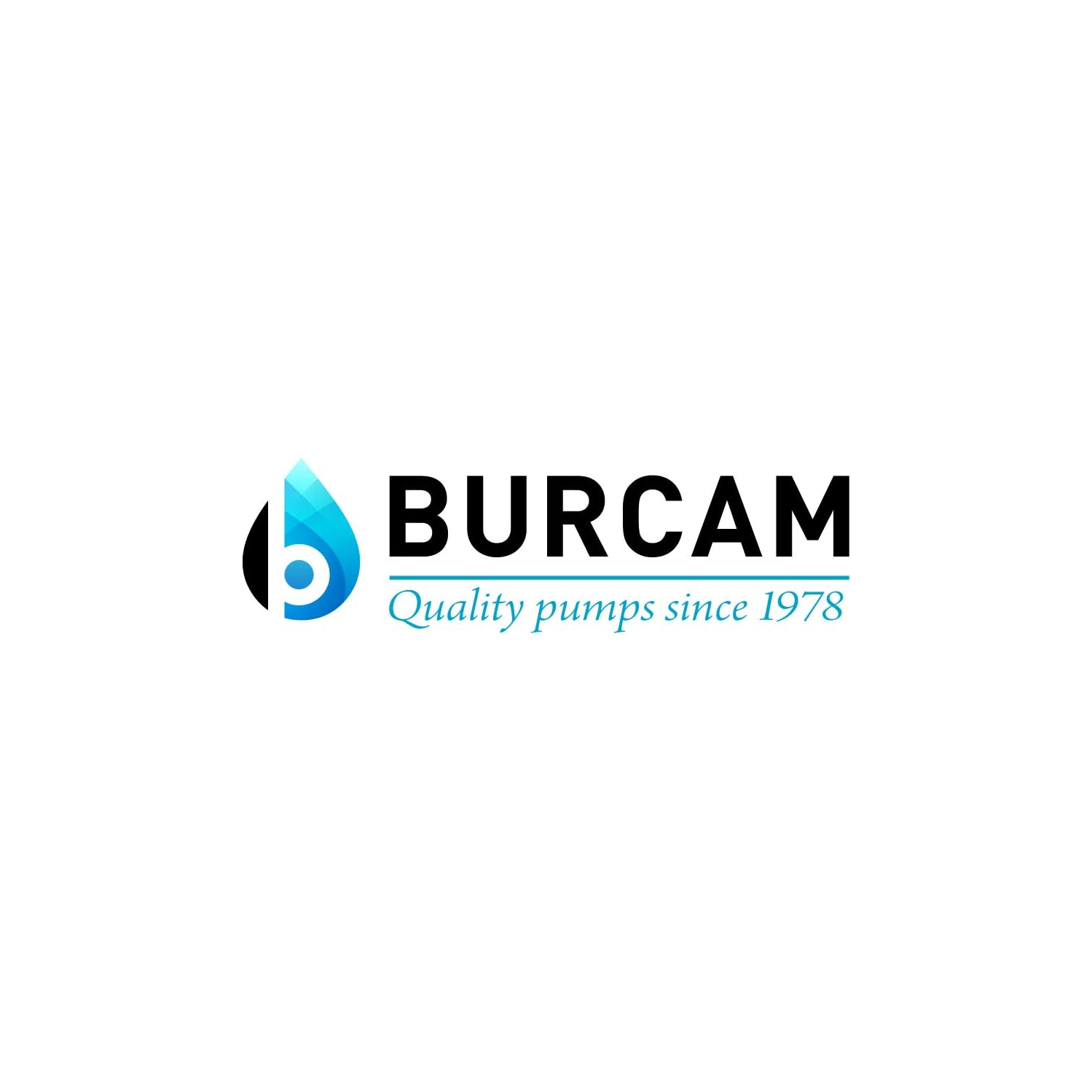 BURCAM 300780V 1/2 HP Cast Iron Submersible Sump Pump, 18, Silver
