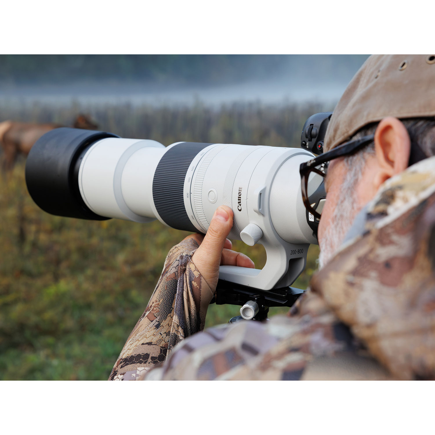 Téléobjectif RF 200-800mm f/6,3-9 IS STM de Canon