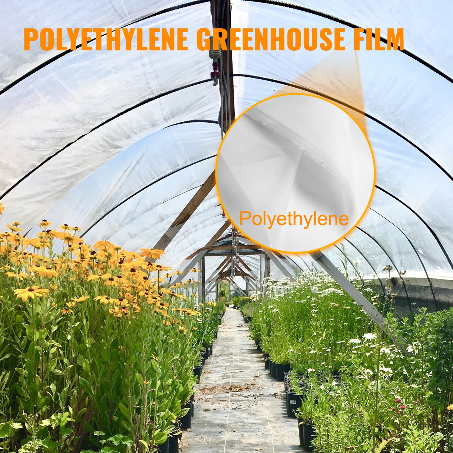 VEVOR 8 x 25 ft Greenhouse Film, Greenhouse Polyethylene Film 6 Mil, Clear Greenhouse Plastic Greenhouse Plastic Film UV Resistant, Polyethylene Film