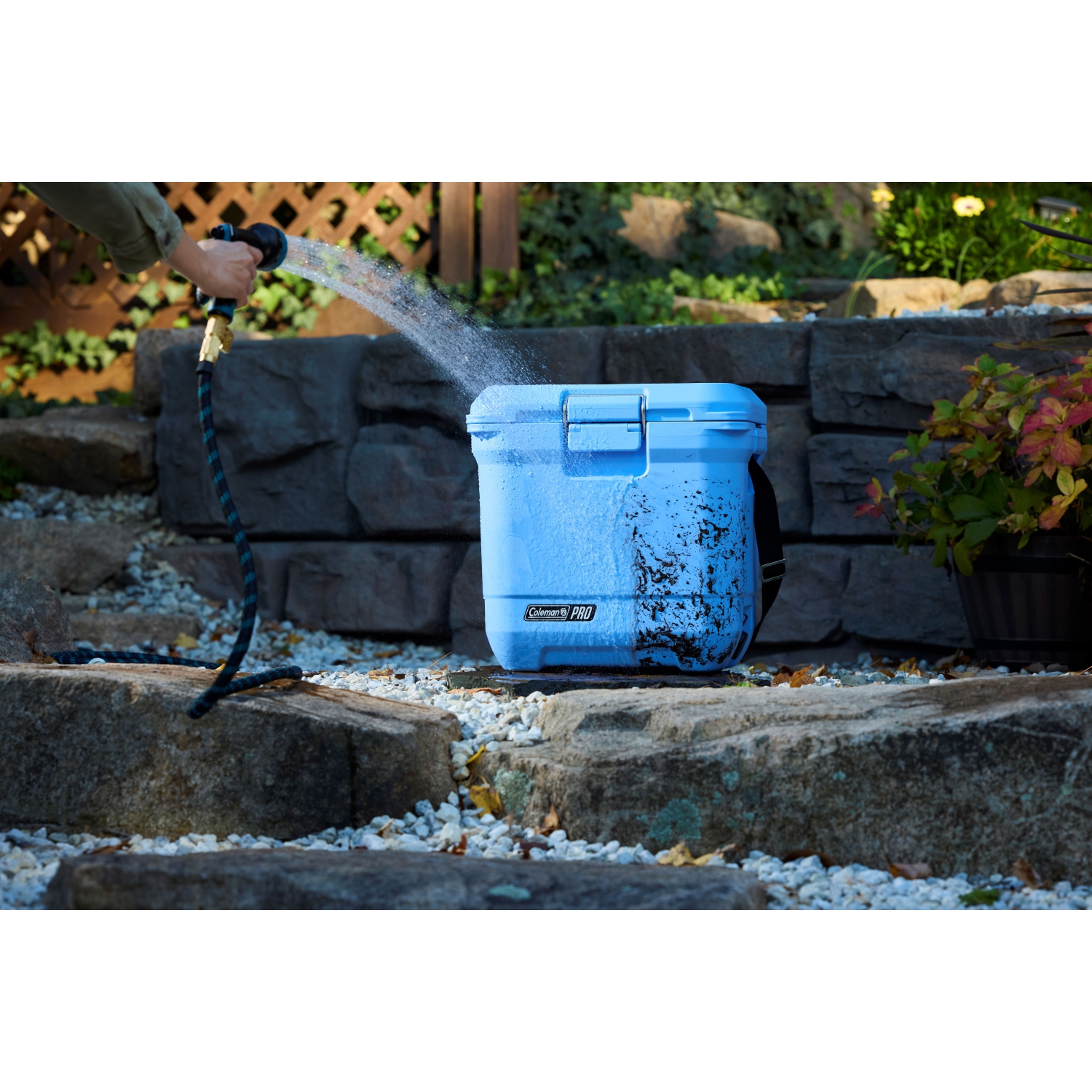 Coleman - Pro Cooler 25QT - Blue Sky