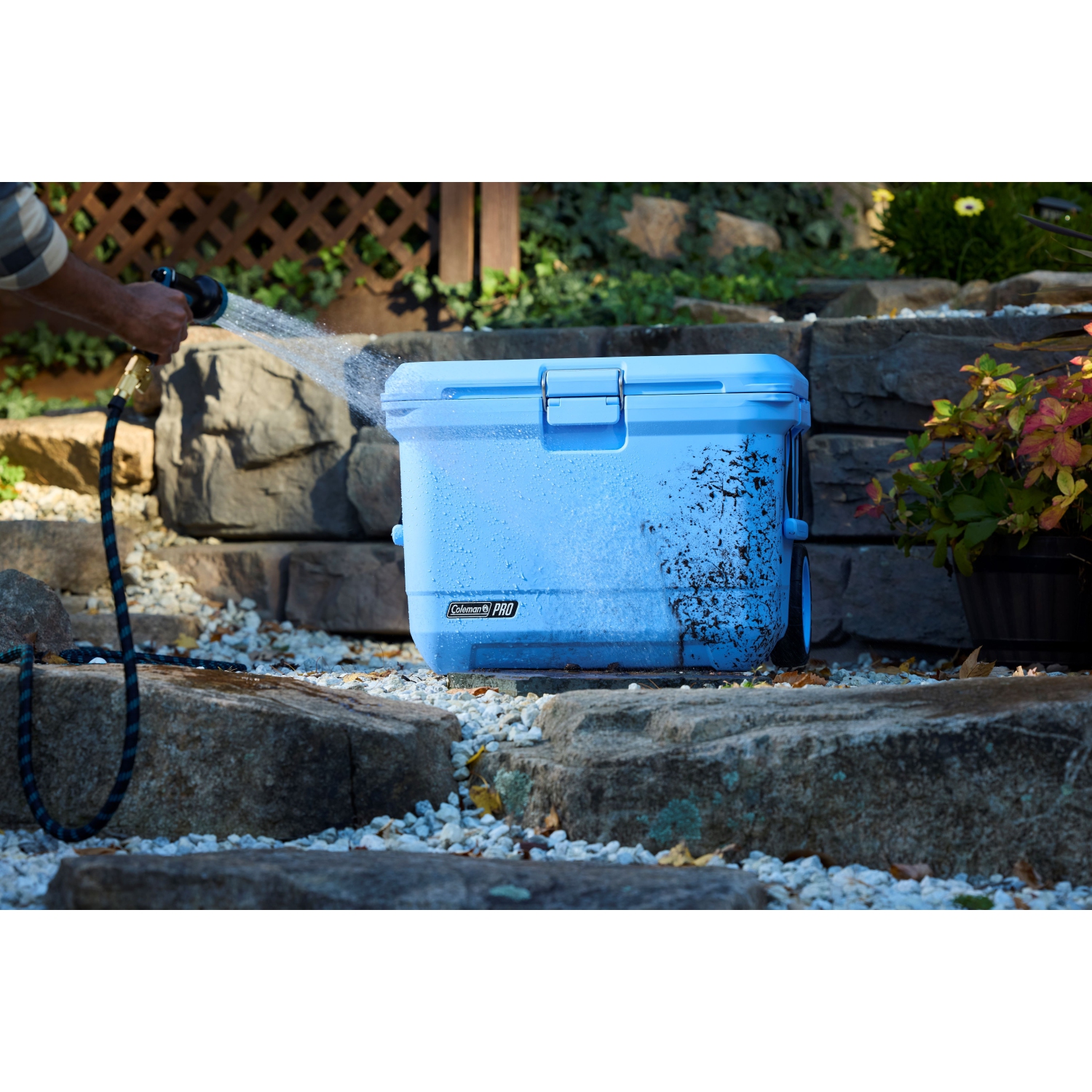 Coleman – Glacière Pro de 55 pte – Bleu ciel