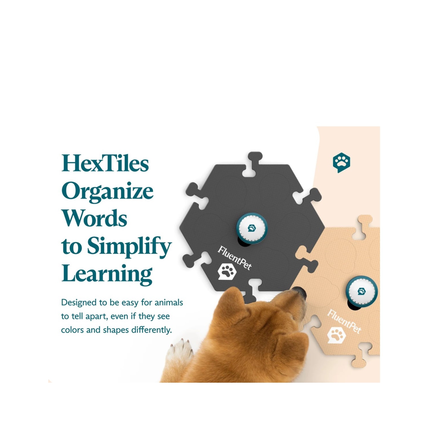 Trousse d'essai Speak Up de FluentPet – Couleurs neutres