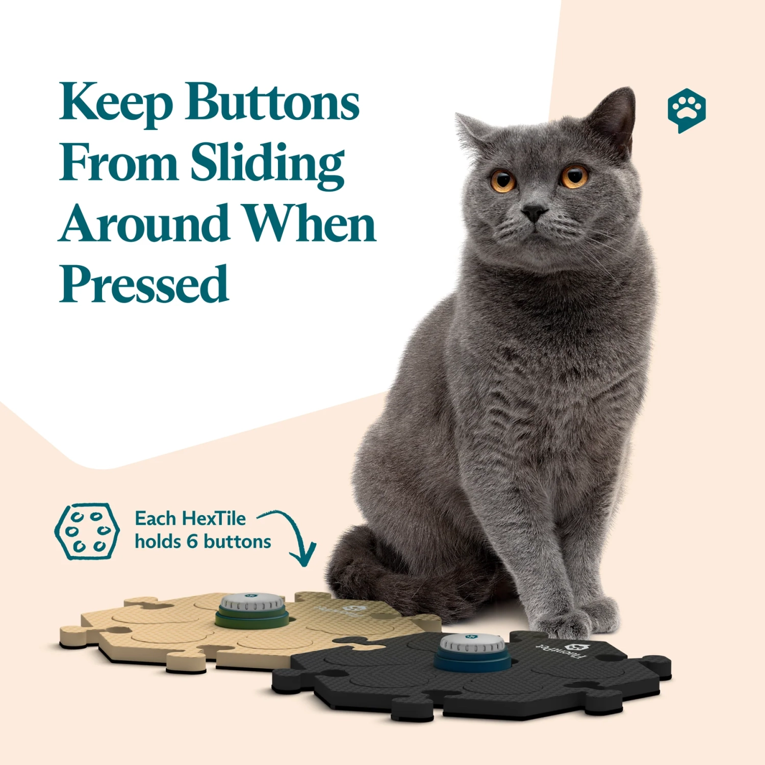 Trousse d'essai Speak Up de FluentPet – Couleurs neutres