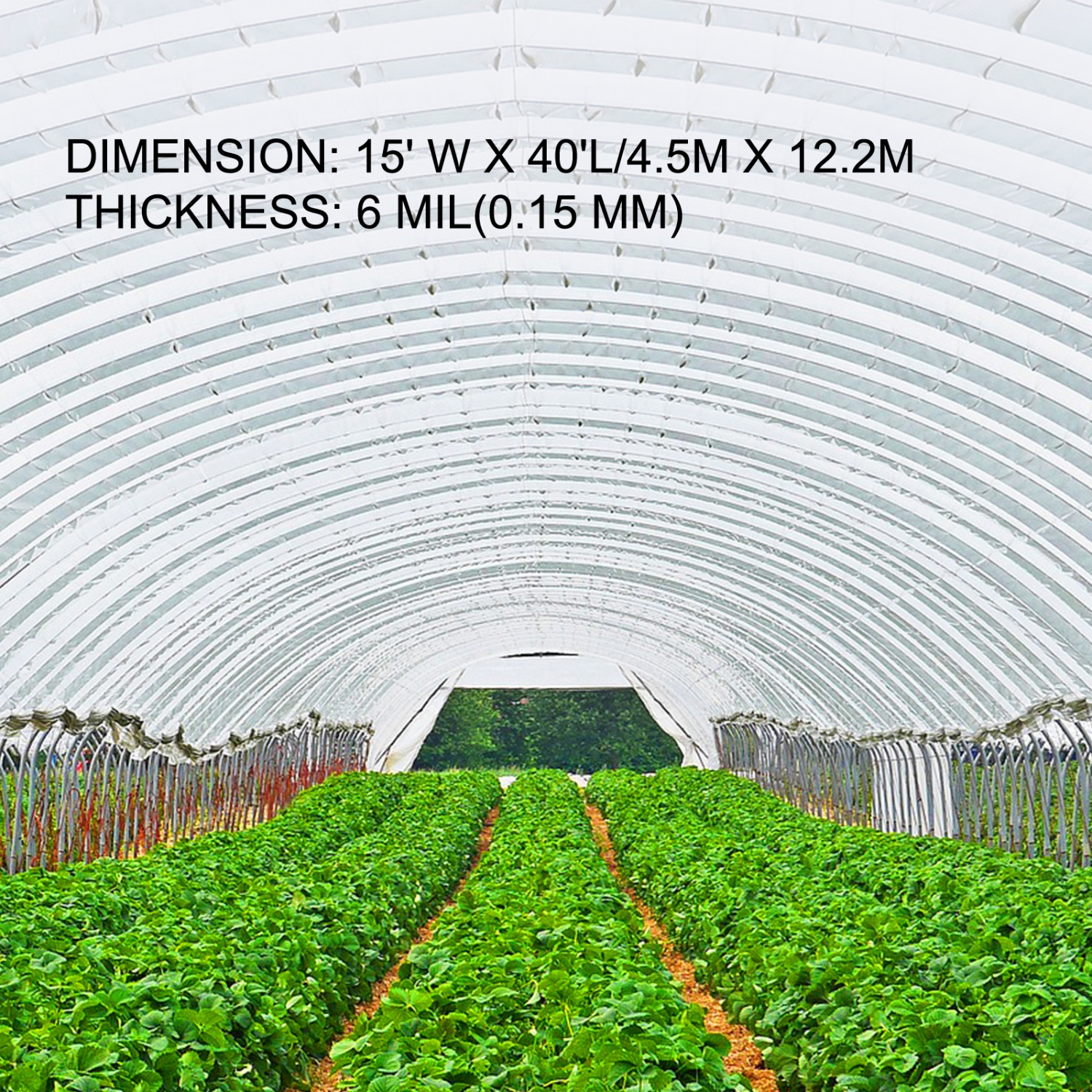 VEVOR 15 x 40 ft Greenhouse Film, Greenhouse Polyethylene Film 6 Mil Thickness, Greenhouse Plastic Greenhouse Clear Plastic Film UV Resistant,