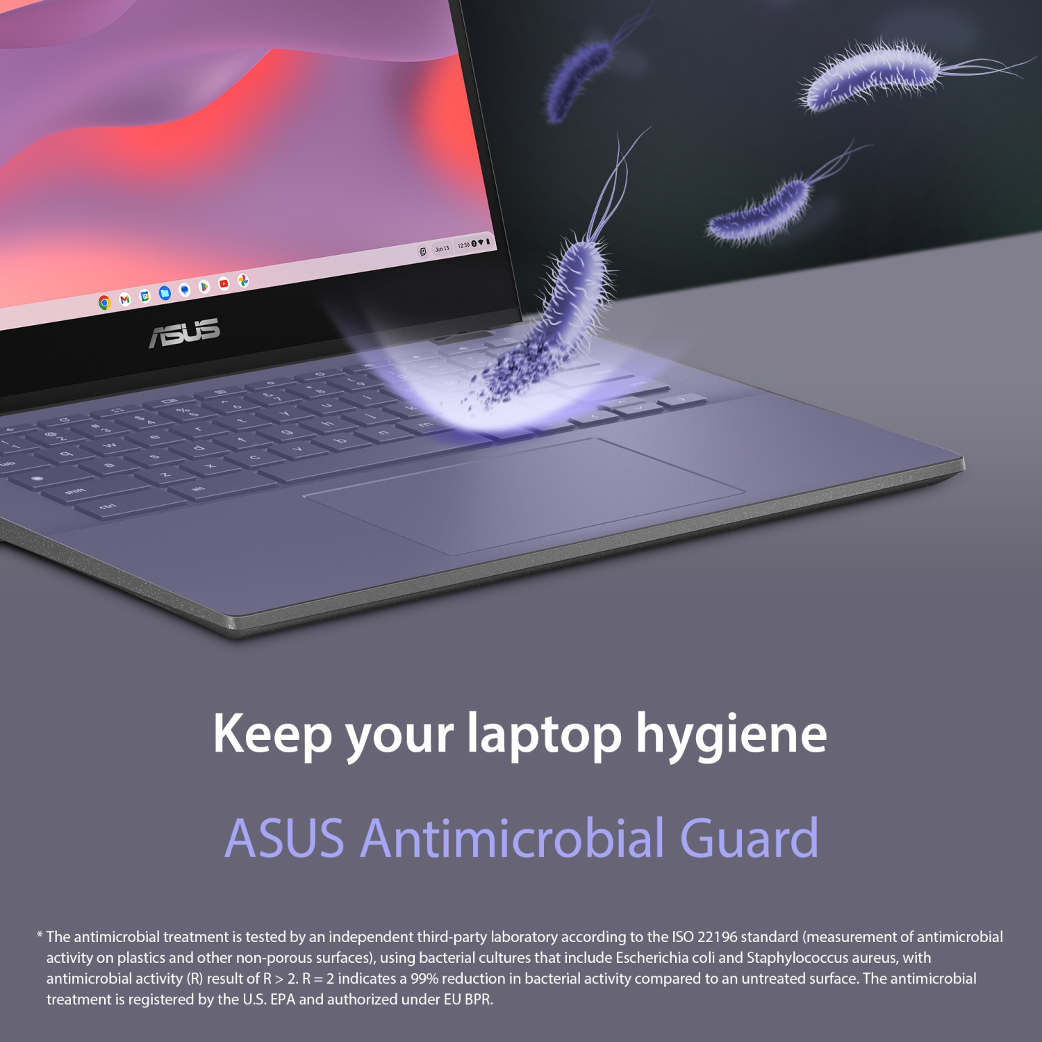 Portable Chromebook CM14 d'ASUS