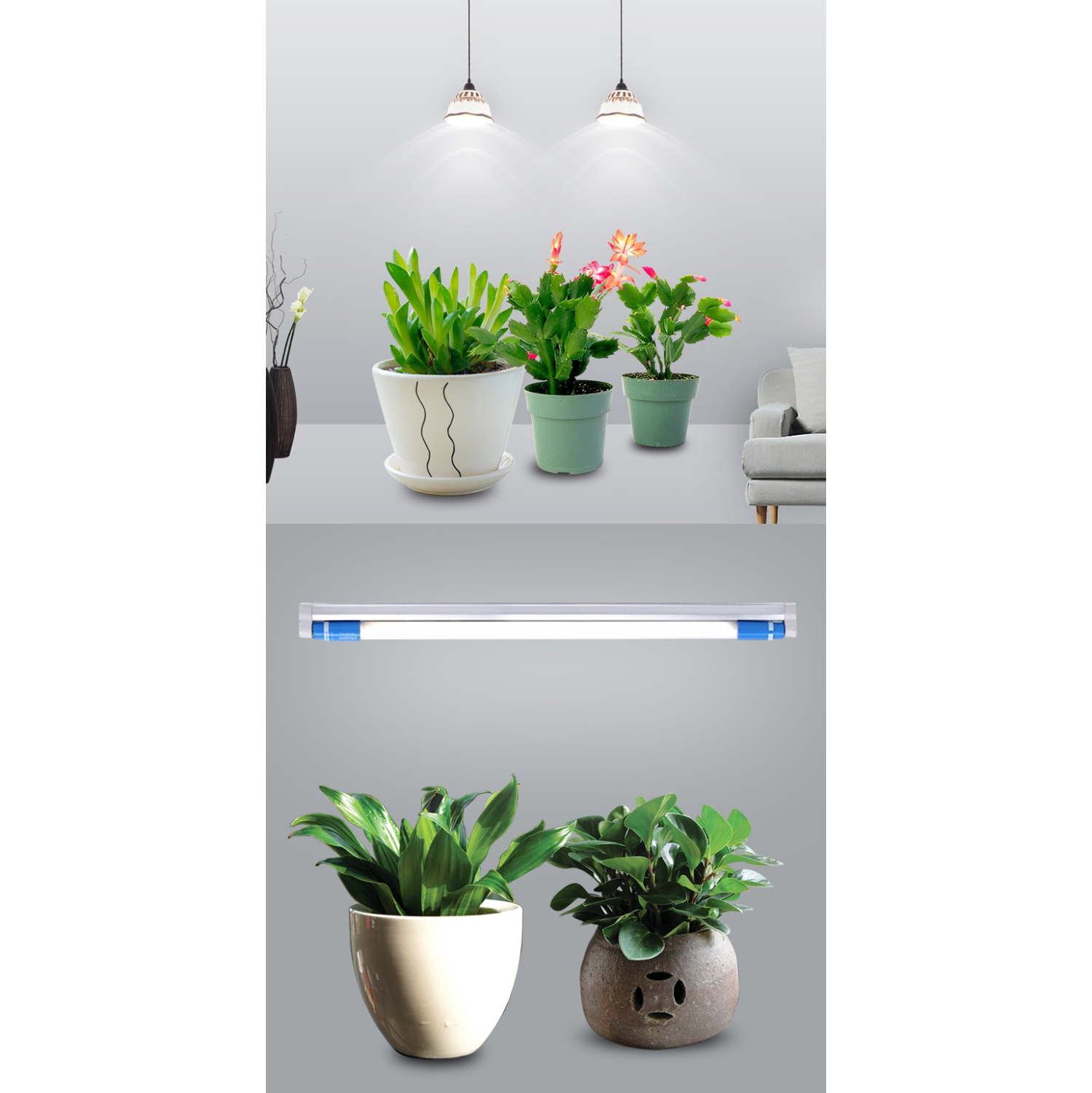 PHILIPS LED Linear G5 Daylight 537944 Tube 24W-54W 24T5 Indoor Grow Lamp