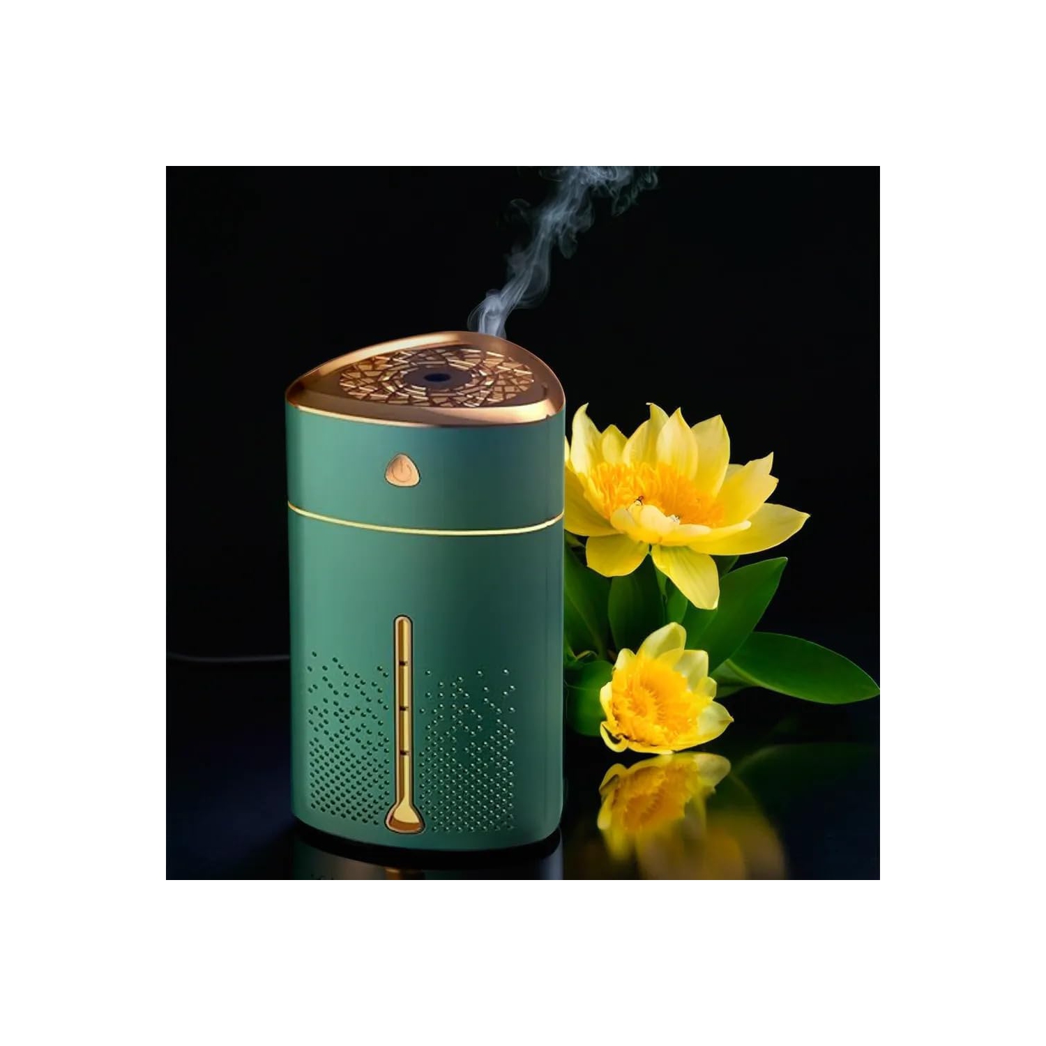 Humidificateur à vapeur de glace à arrêt automatique très silencieux pour machine d'aromathérapie hydratante, idéal pour la maison et le bureau