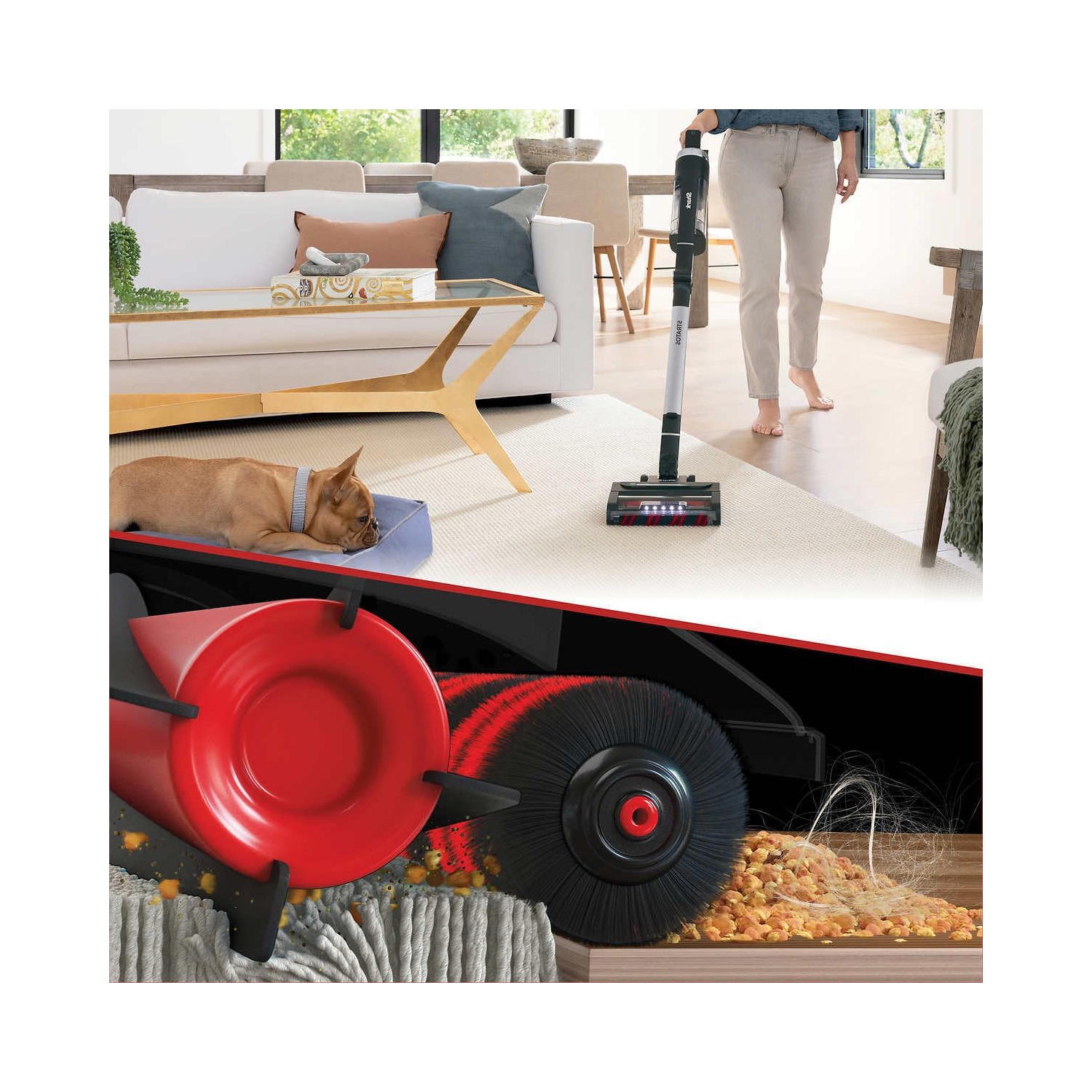 Remis à neuf - Aspirateur sans fil Stratos UZ865H de Shark, aspirateur DuoClean PowerFins HairPro, suceur plat et brosse antiallergène inclus,