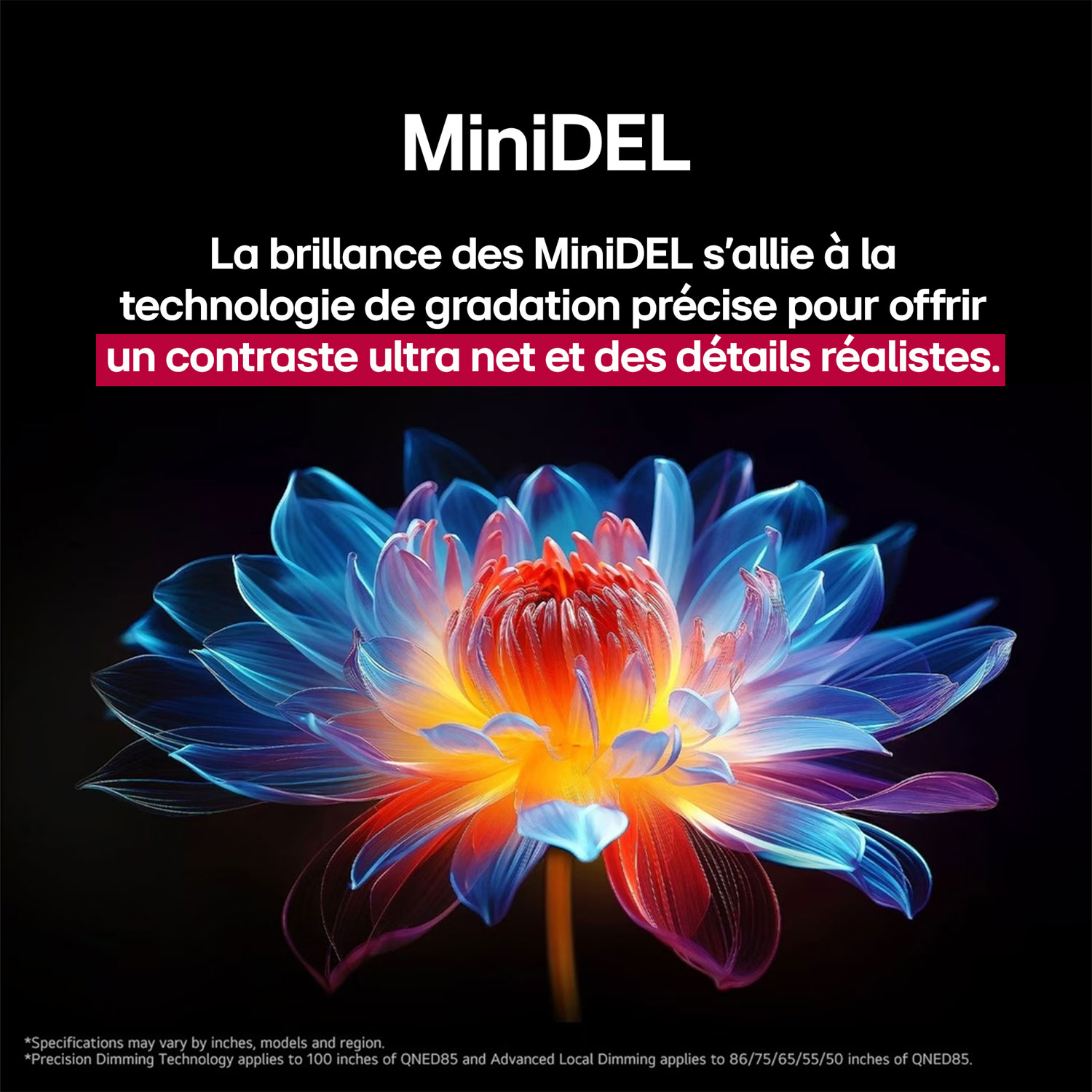 Téléviseur intelligent mini-DEL HDR UHD 4K QNED evo AI QNED85 de 65 po de LG - 2025 - Exclusivité Best Buy