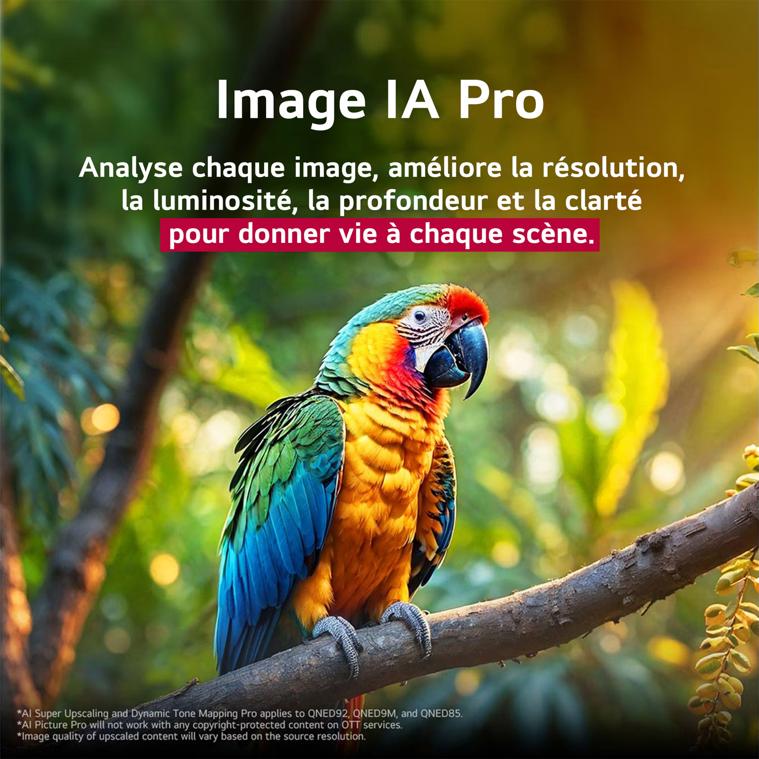 Téléviseur intelligent mini-DEL HDR UHD 4K QNED evo AI QNED85 de 75 po de LG - 2025 - Exclusivité Best Buy