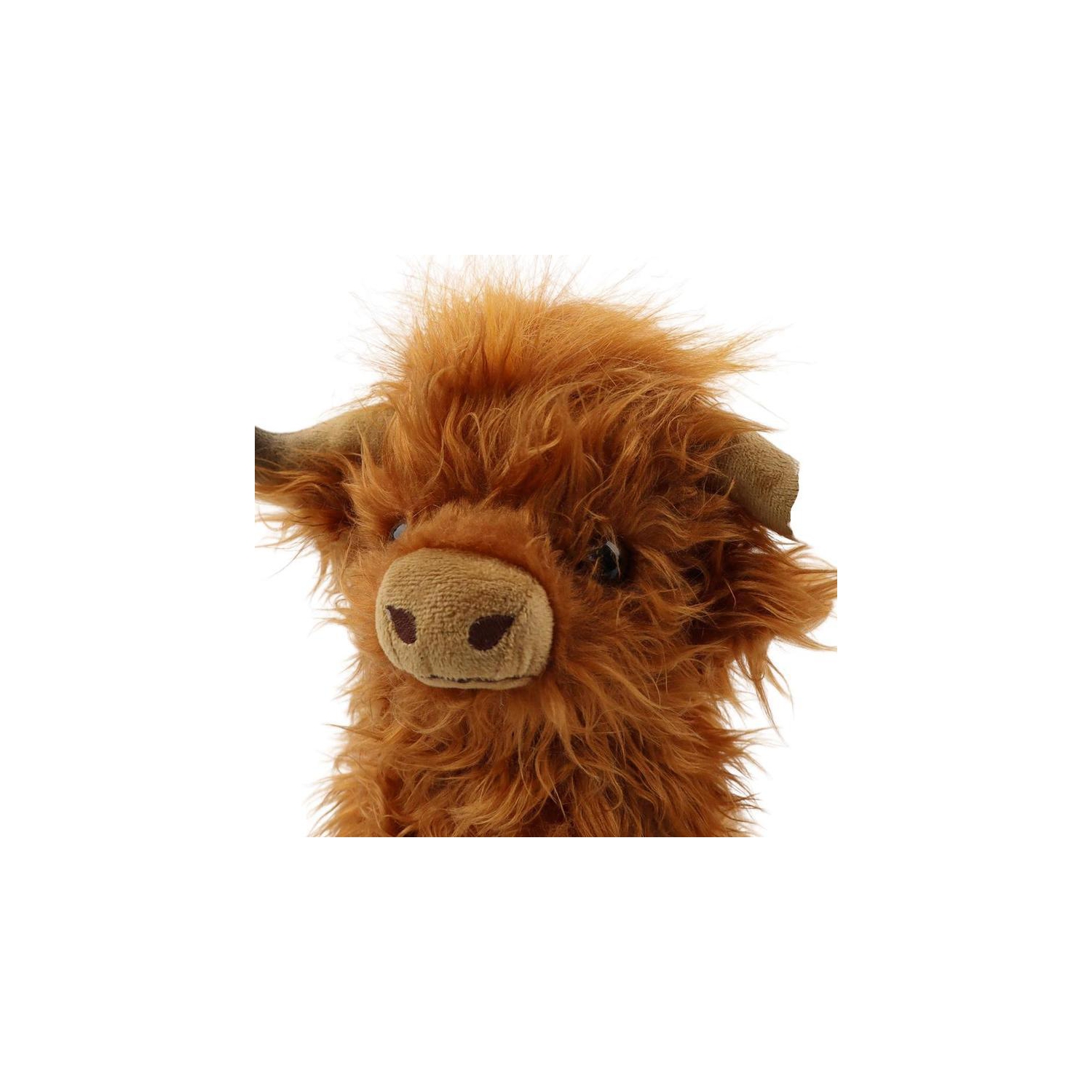 Vache Scottish Highland, Cute Cow à poils longs, Cadeau d'anniversaire pour garçons et filles