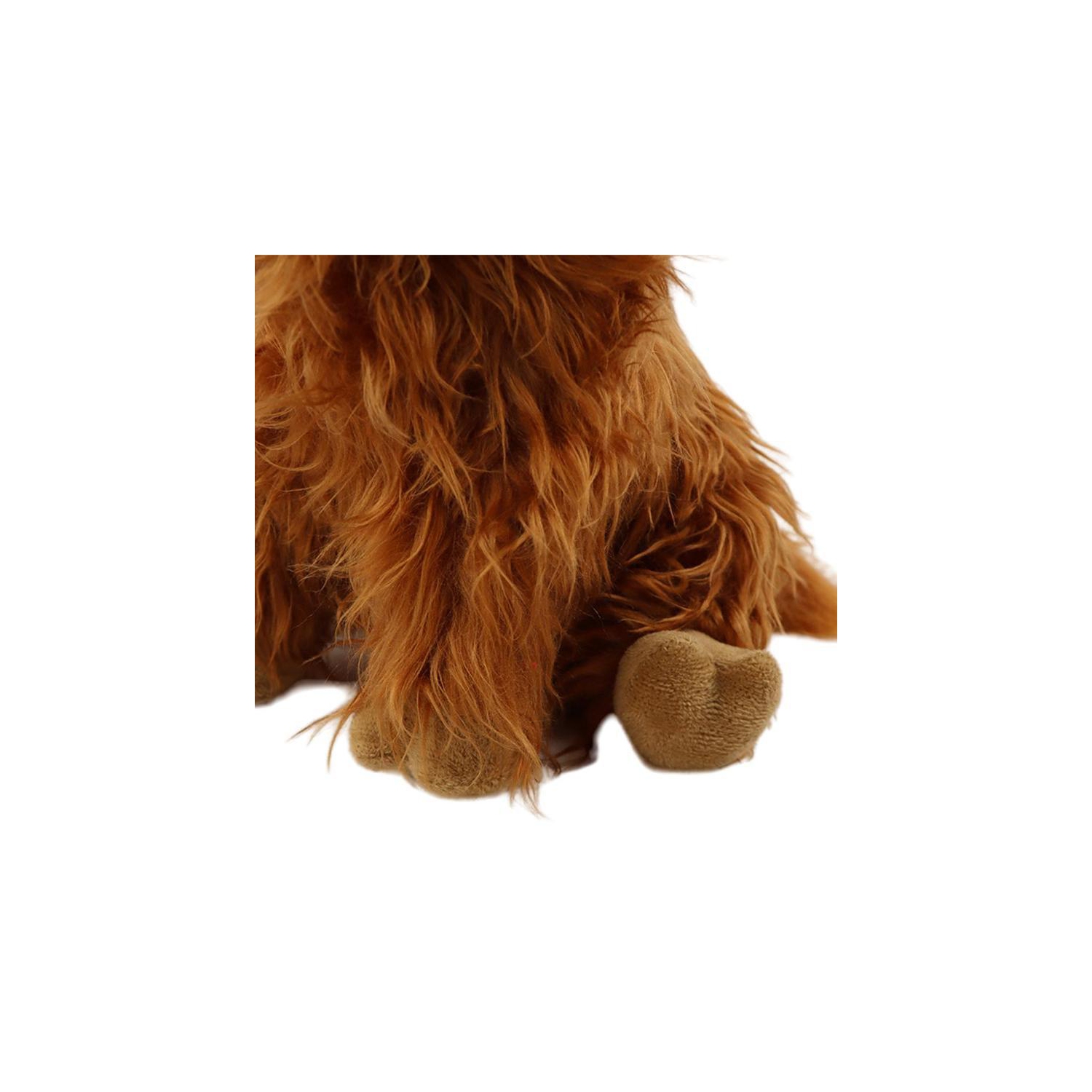 Vache Scottish Highland, Cute Cow à poils longs, Cadeau d'anniversaire pour garçons et filles