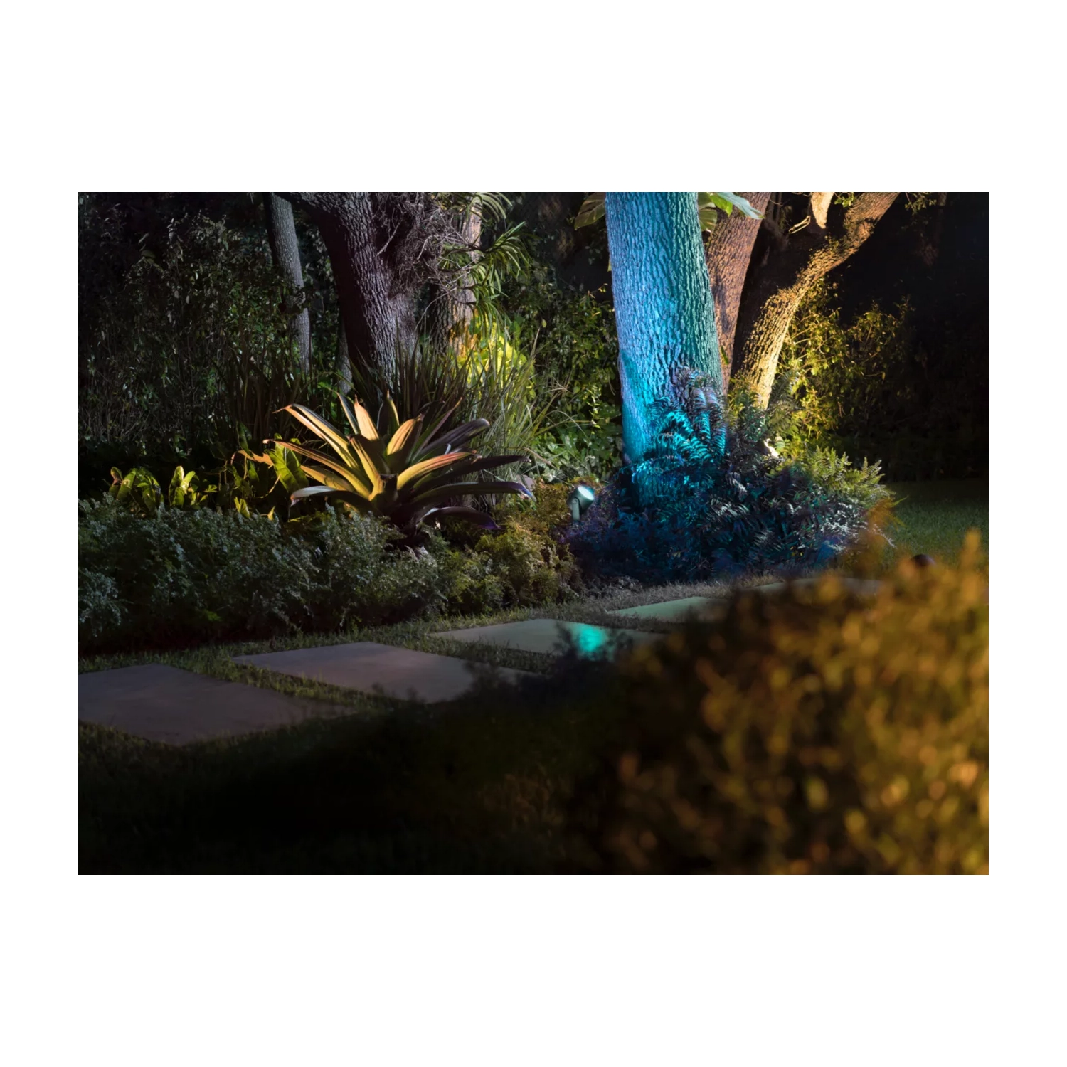 Ensemble de projecteur d'extérieur Hue Lily XL blanc et couleur de Philips