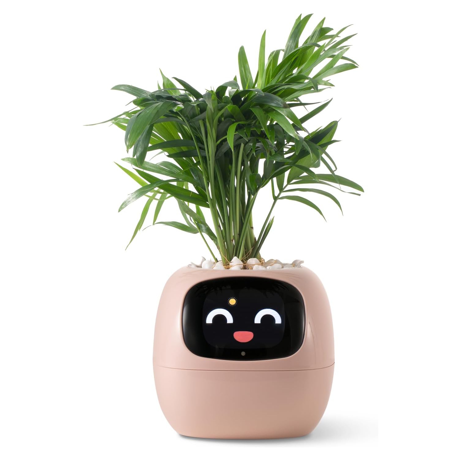 Ivy Smart pet Planter Robot Guidance on Plant Care with Emojis, Adorable Plant Companion with Rich Gesture Interaction, Neat Desk Setup Gift - Pink