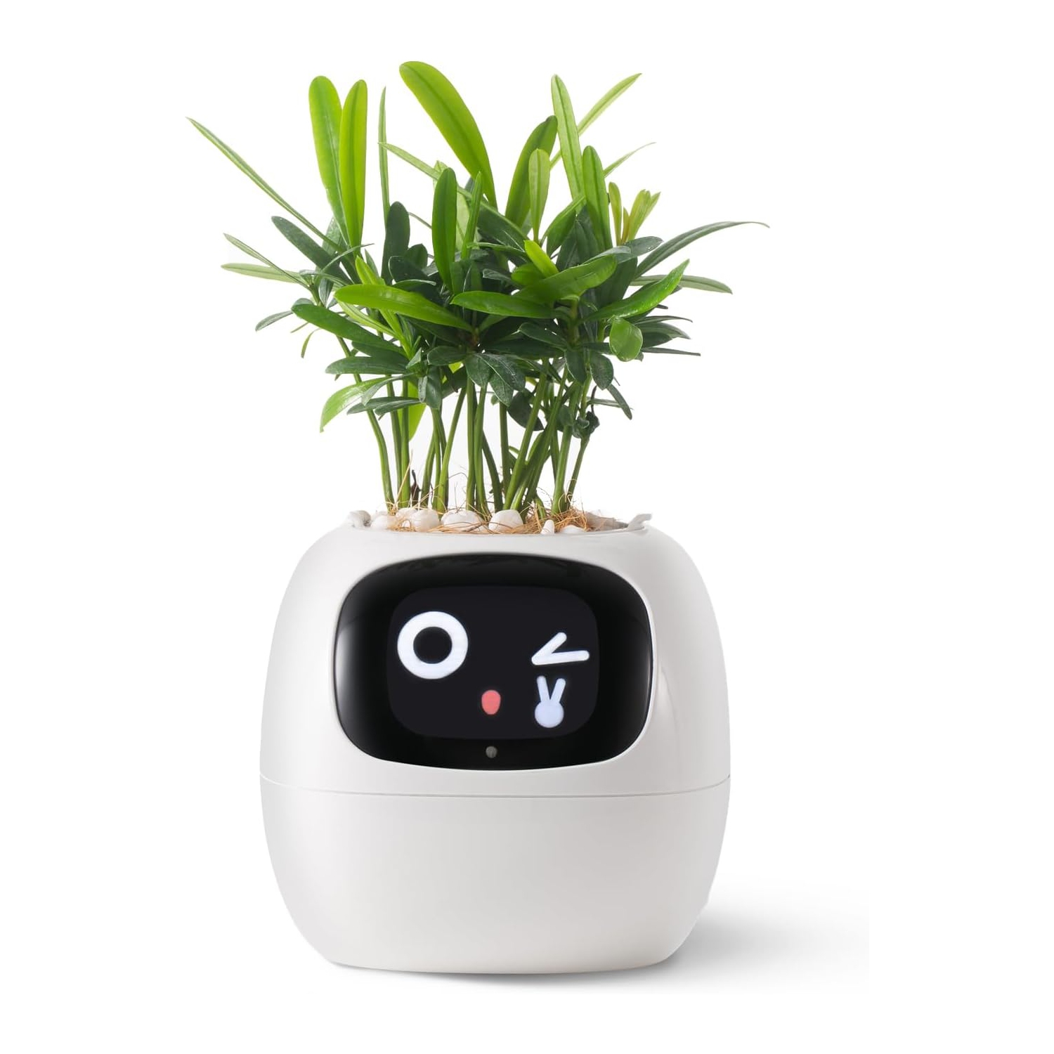 Jardinière intelligente d'Ivy pour animaux de compagnie avec émojis, adorable compagnon de plantes avec interaction gestuelle, cadeau d'installation