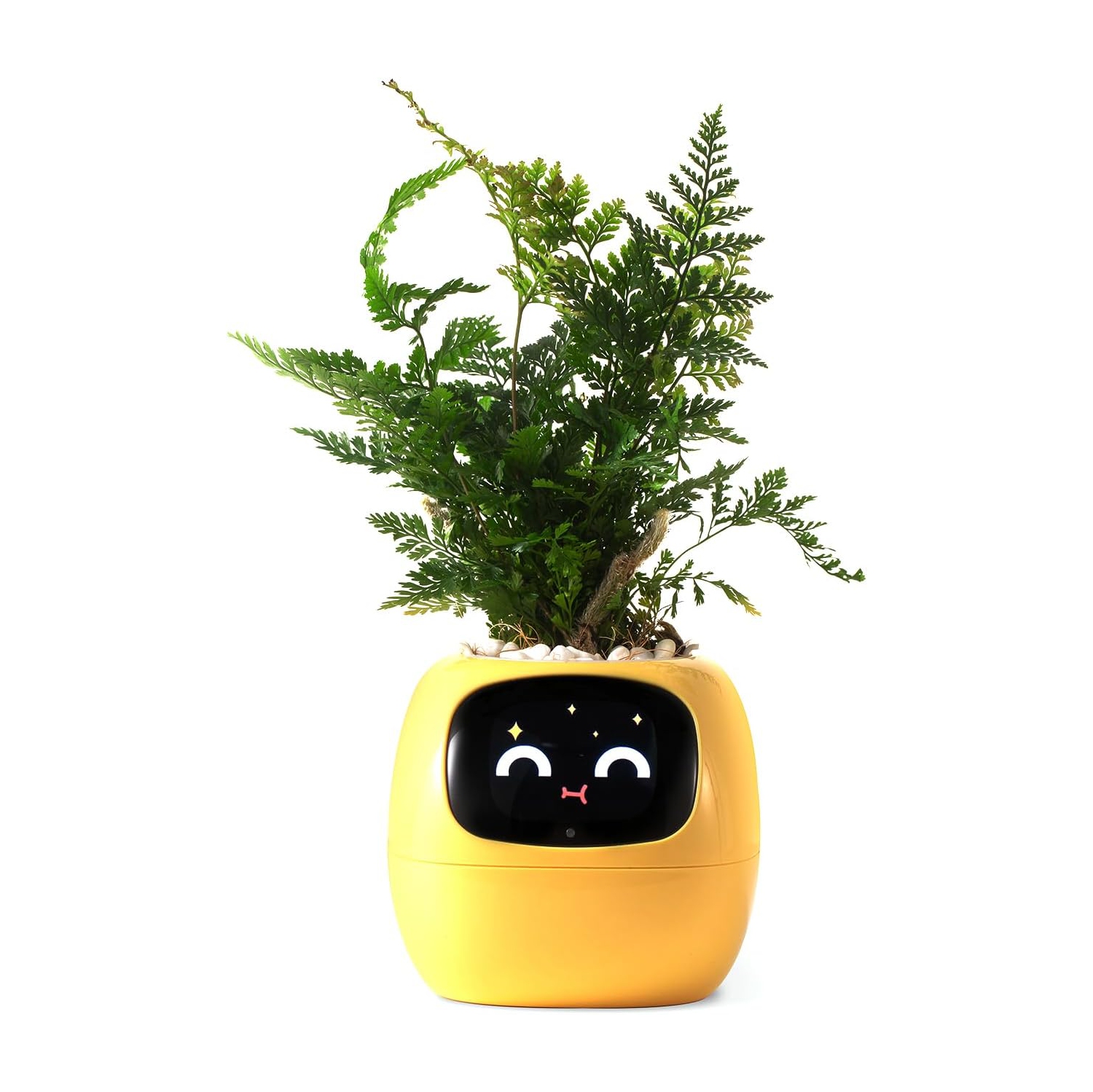 Ivy Smart Pet Planter Robot Guidance on Plant Care with Emojis, Adorable Plant Companion with Rich Gesture Interaction, Neat Desk Set Gift - Jaune