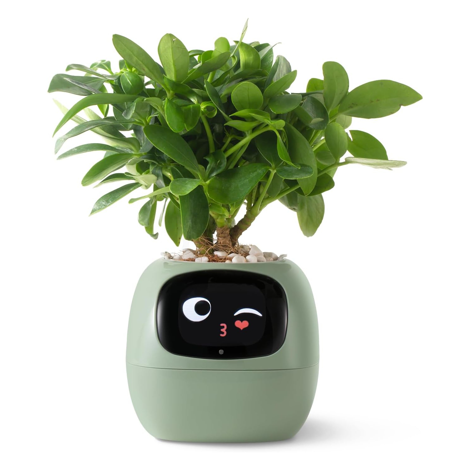Ivy Smart Pet Planter Robot Guidance on Plant Care with Emojis, Adorable Plant Companion with Rich Gesture Interaction, Neat Desk Set Gift - Vert