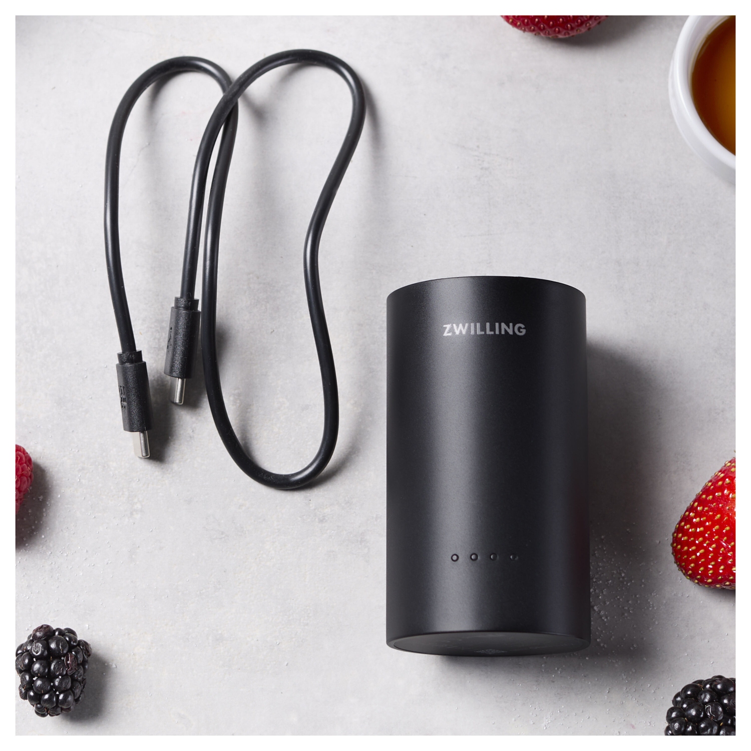 ZWILLING XTEND Compact Charger