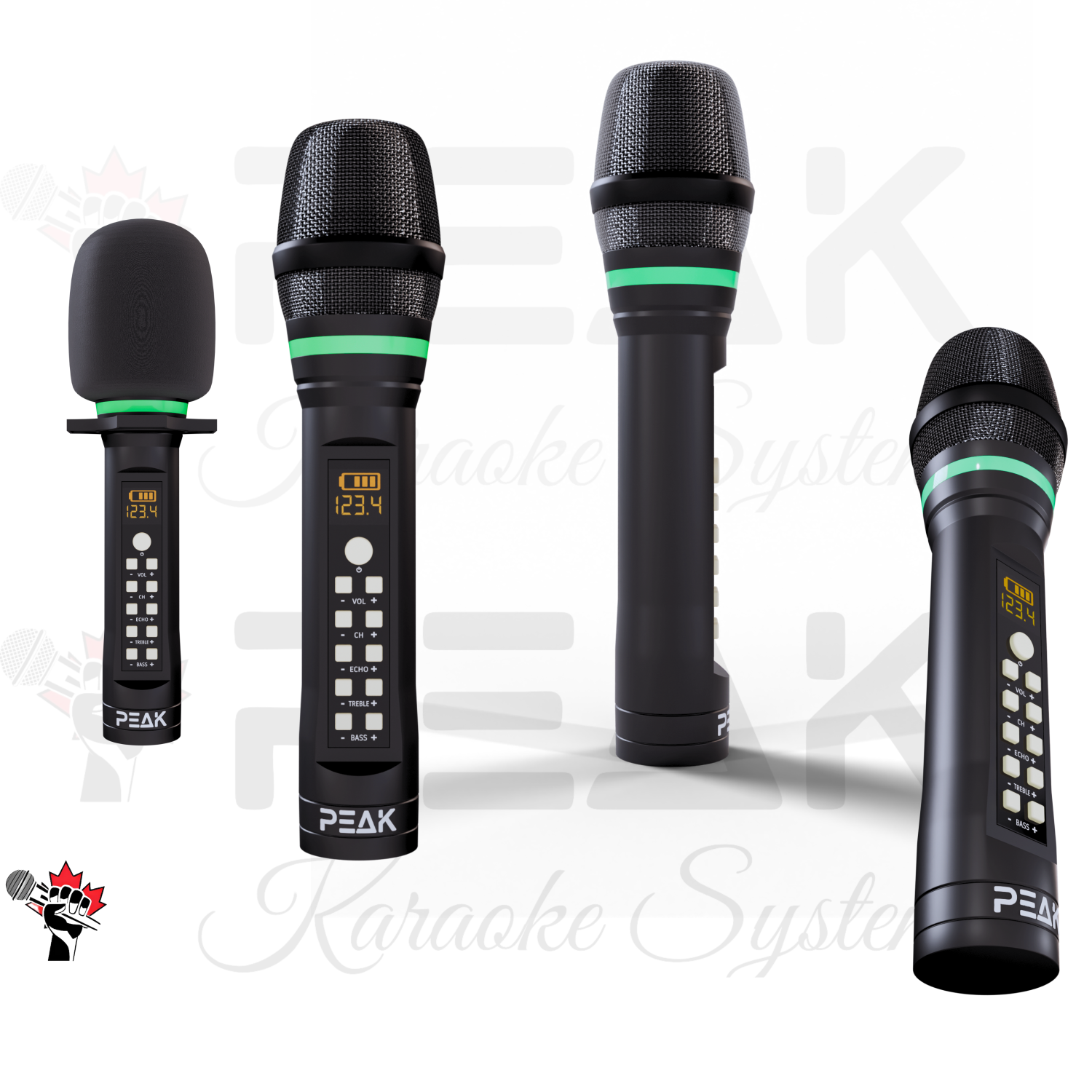 Système de karaoké haut de gamme STAGE III ONYX DE PEAK Karaoke – 4000&nbsp;W