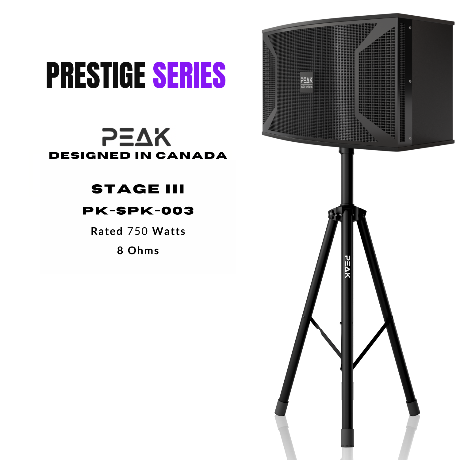 Système de karaoké haut de gamme STAGE III ONYX DE PEAK Karaoke – 4000&nbsp;W
